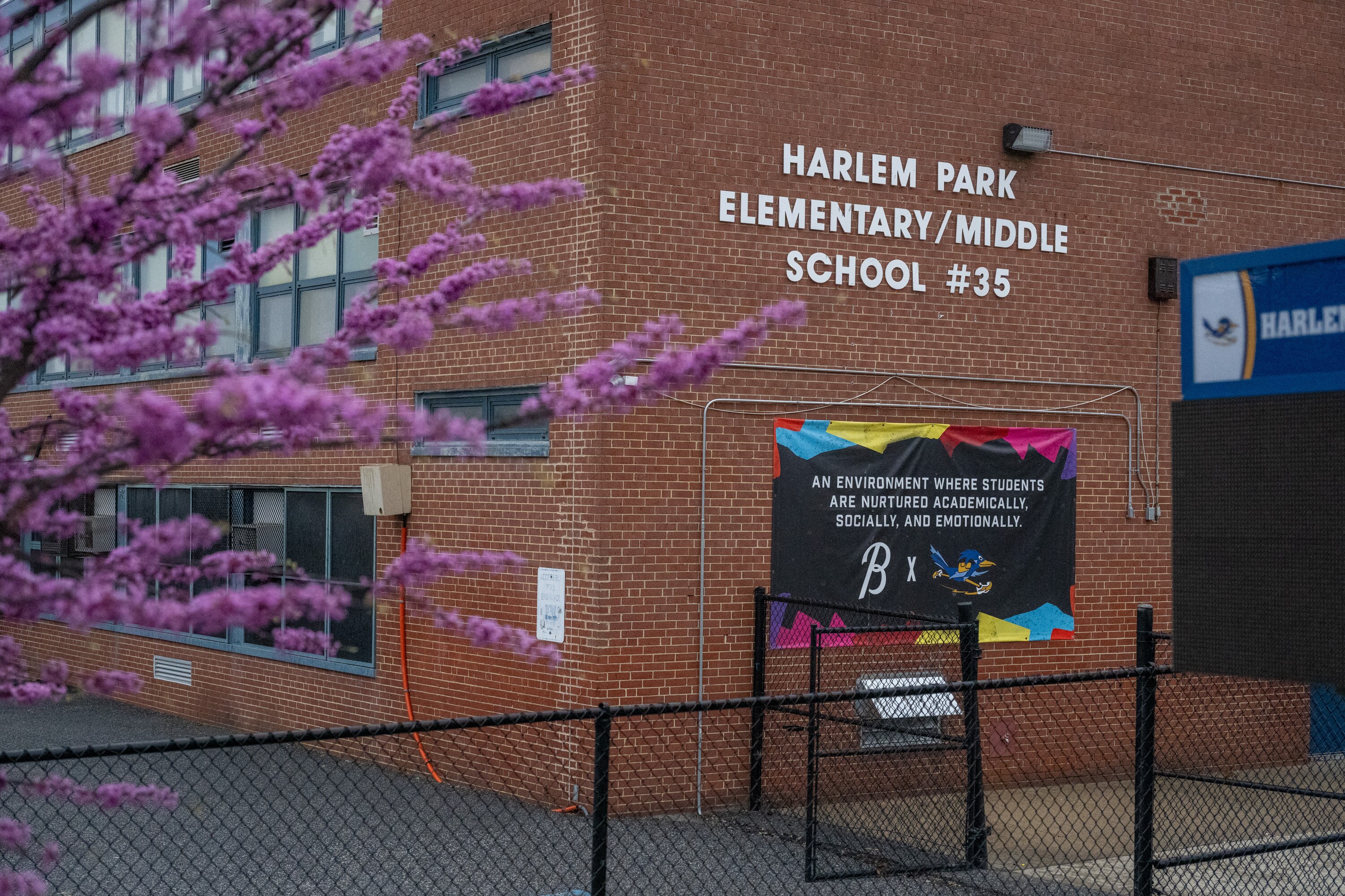 The Orioles have partnered with Heart of America Foundation to create an outdoor classroom space at Harlem Park Elementary/Middle School. 