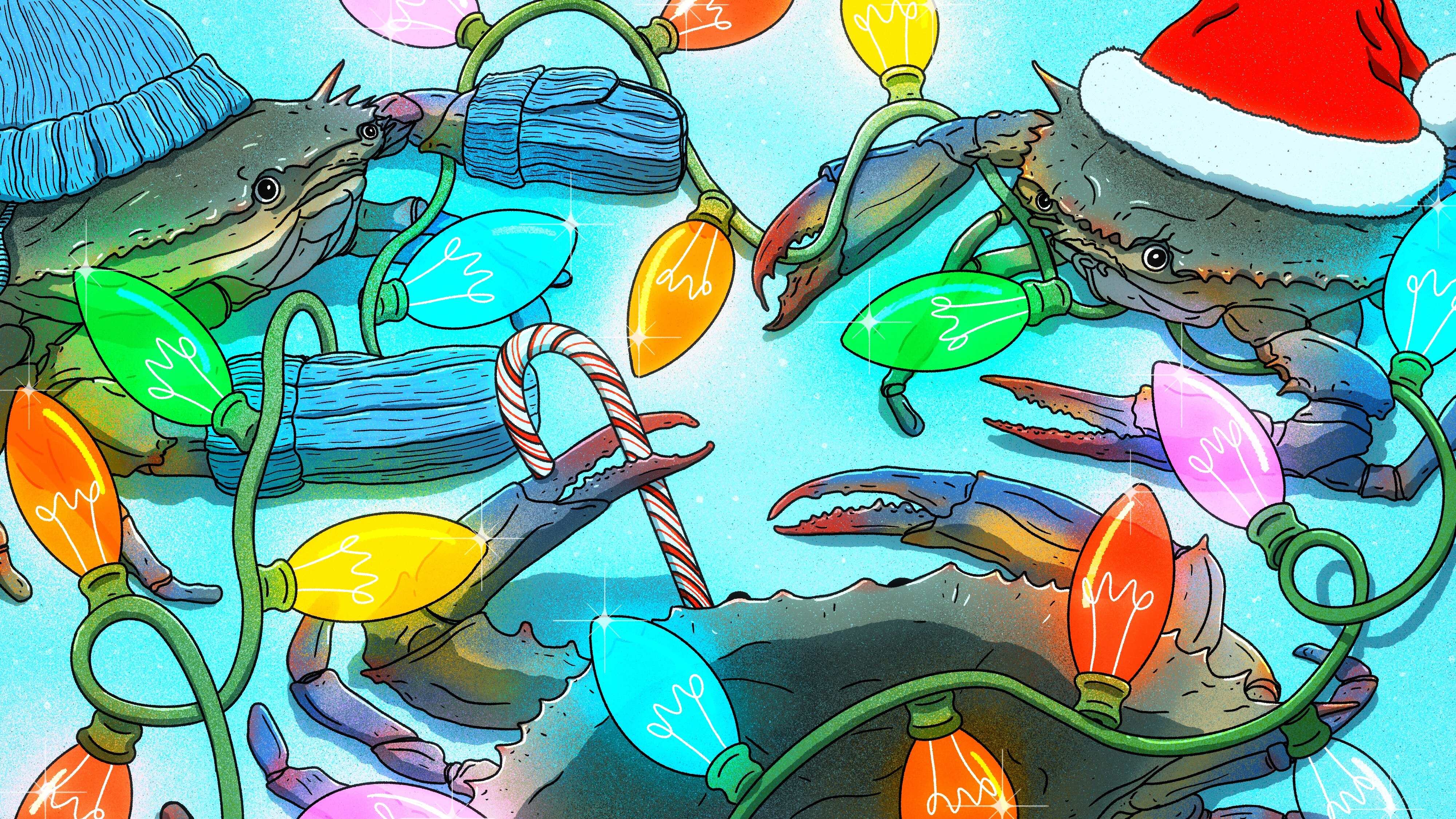 Find the perfect gift with our holiday gift guide!