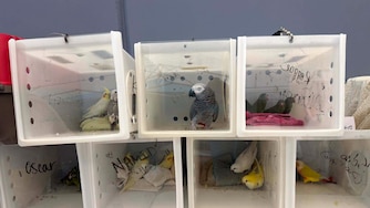 The Maryland Zoo and National Aquarium stepped in after hundreds of birds were found sick and living in unsanitary conditions.