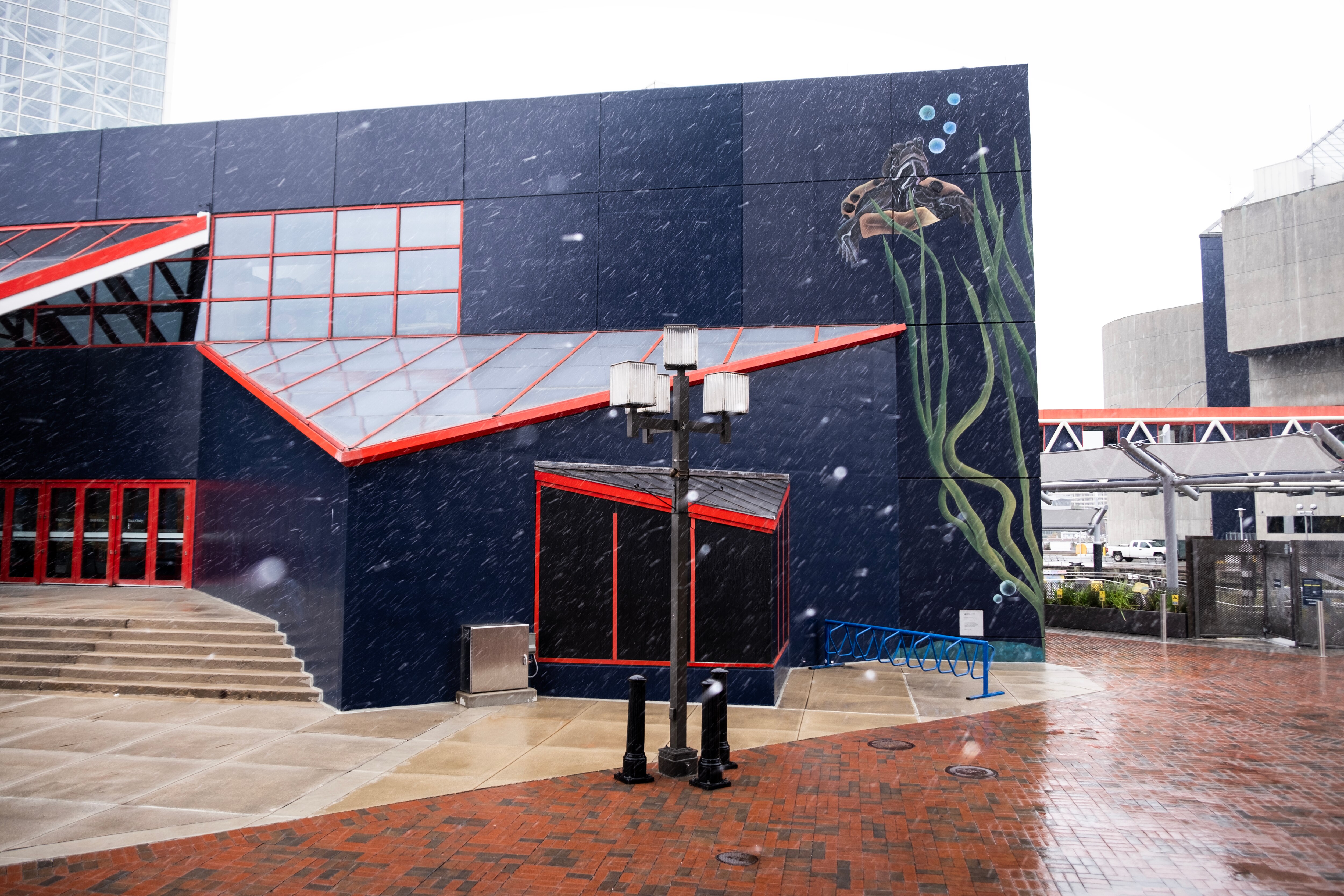 Snow flurries in downtown Baltimore on Friday, Nov. 22, 2024.