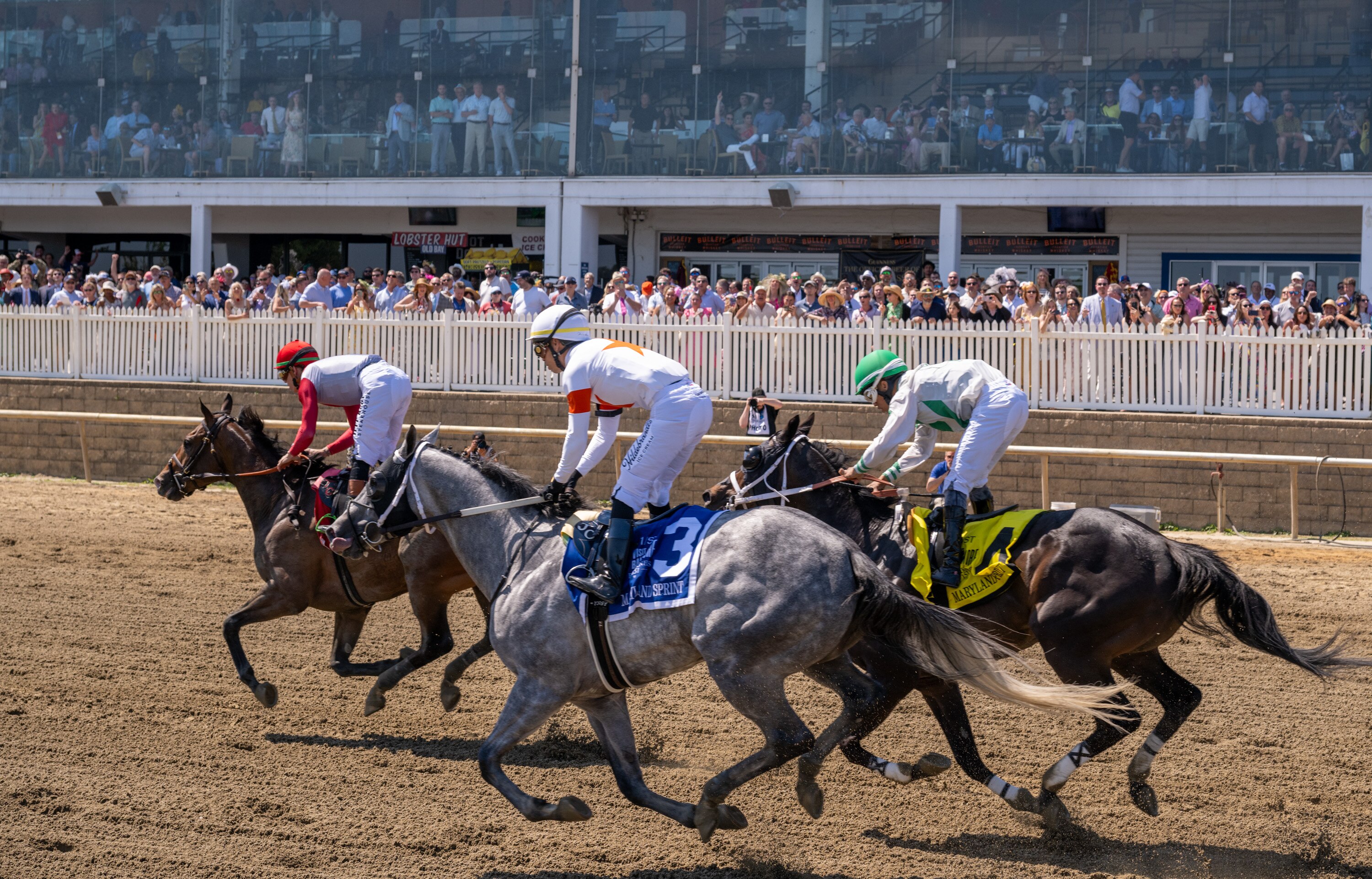 Horses pass the Laurel Park grandstands after crossing the finish line of the Dirt Dozen, the 8th race of the day on Preakness Saturday. 