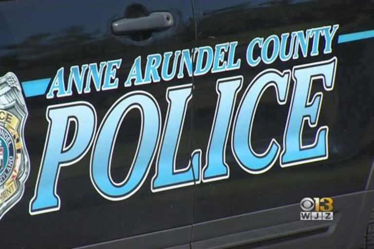 An Anne Arundel County Police vehicle.