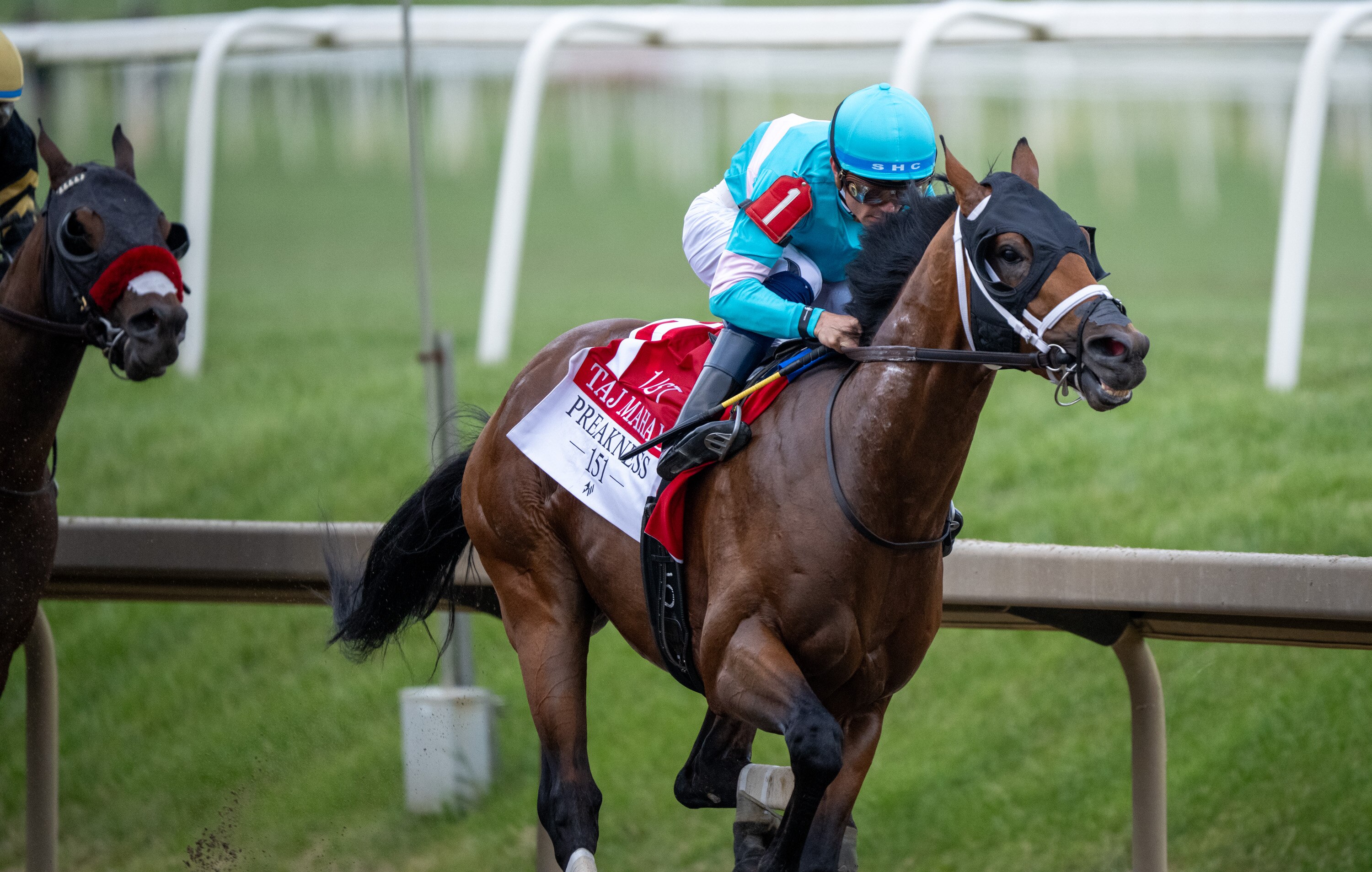 Jockey Sheldon Russell rides Taj Mahal to an early lead during the 151st Preakness Stakes at Laurel Park.