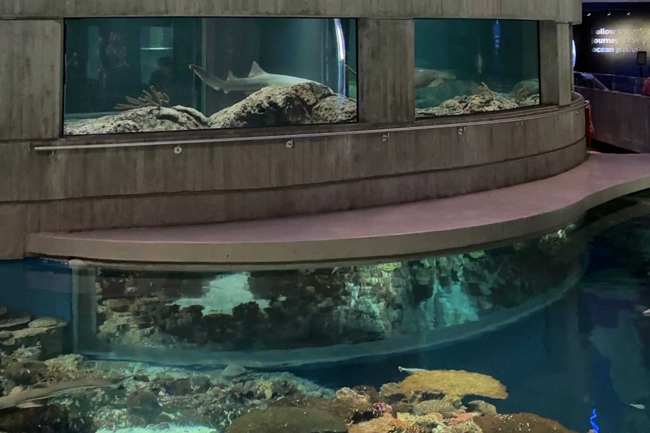 The National Aquarium will resume its regular hours on Saturday after a dayslong power outage.