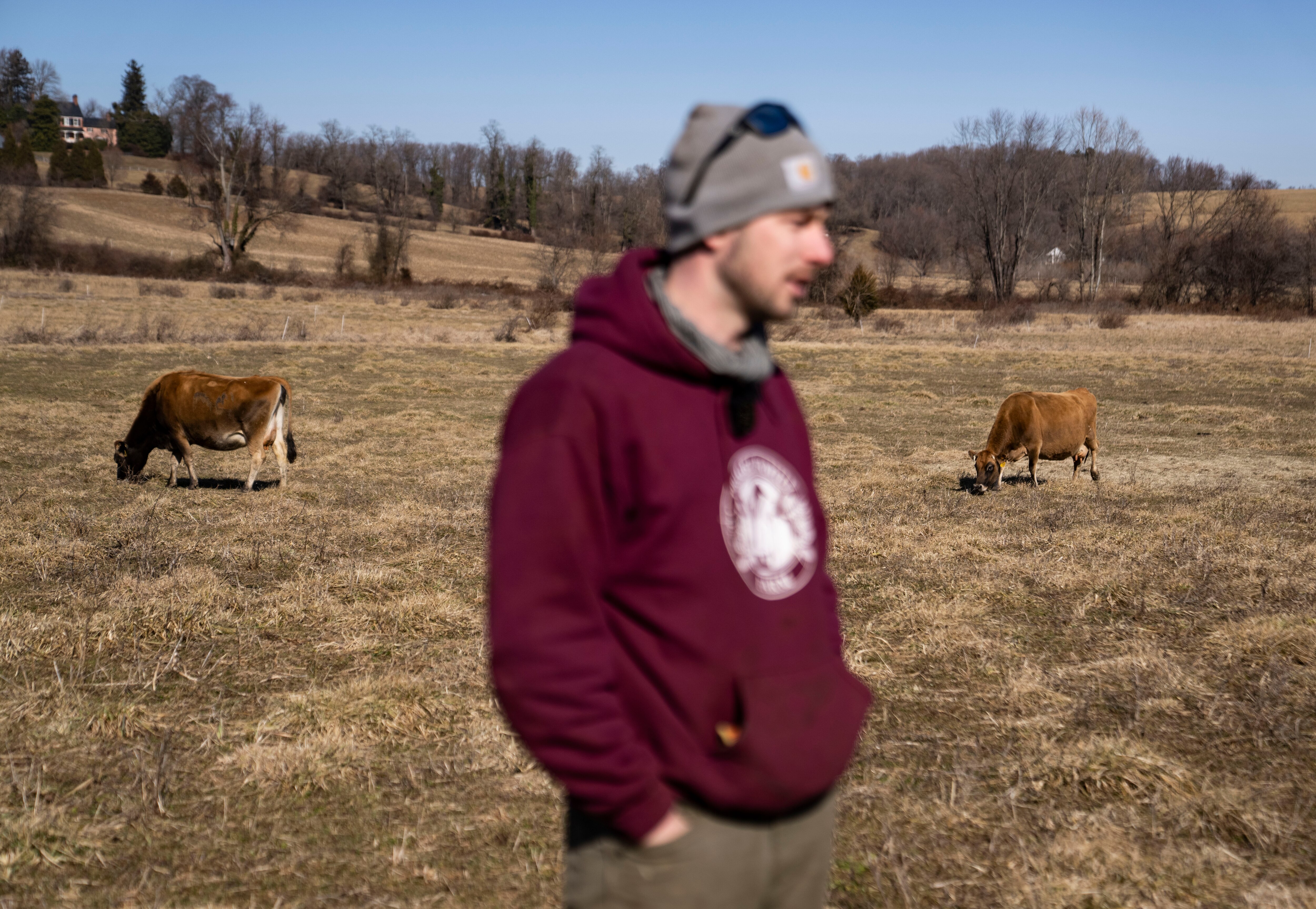 Matt Prigel of Glen Arm’s Prigel Family Creamery stands in the field where his cows graze.