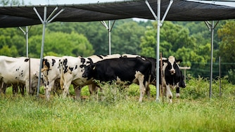 Among the many things they focus on, the Beltsville lab has done notable, groundbreaking research on pathogens in livestock.