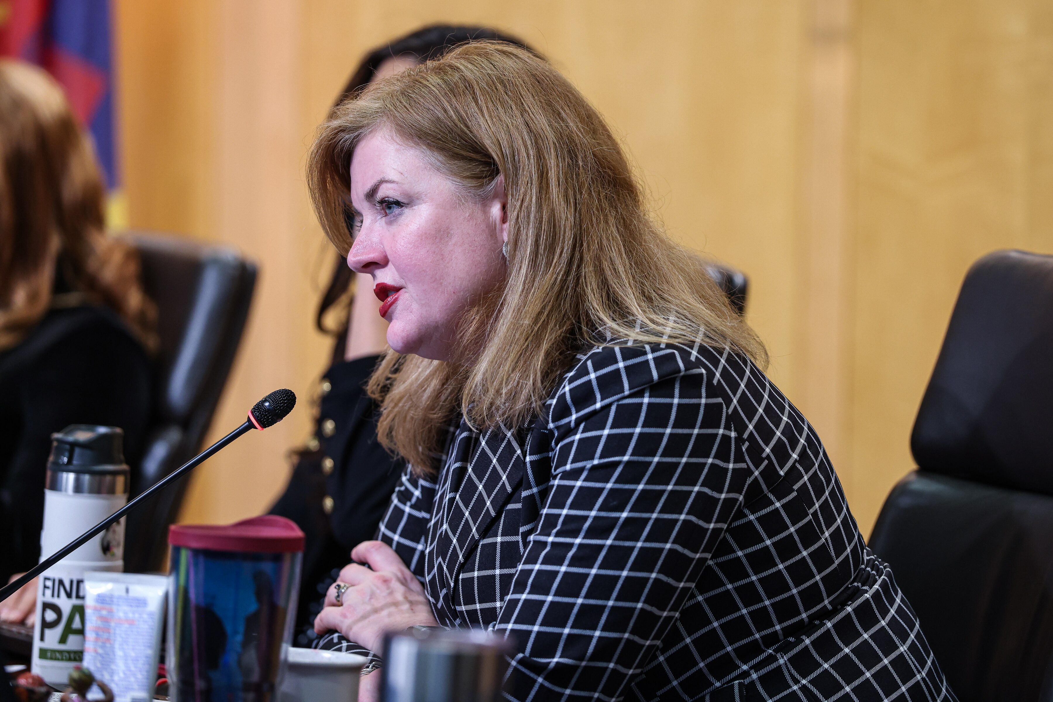 Montgomery County Council member Dawn Luedtke, who represents District 7, speaks at the council’s office building in Rockville last year.