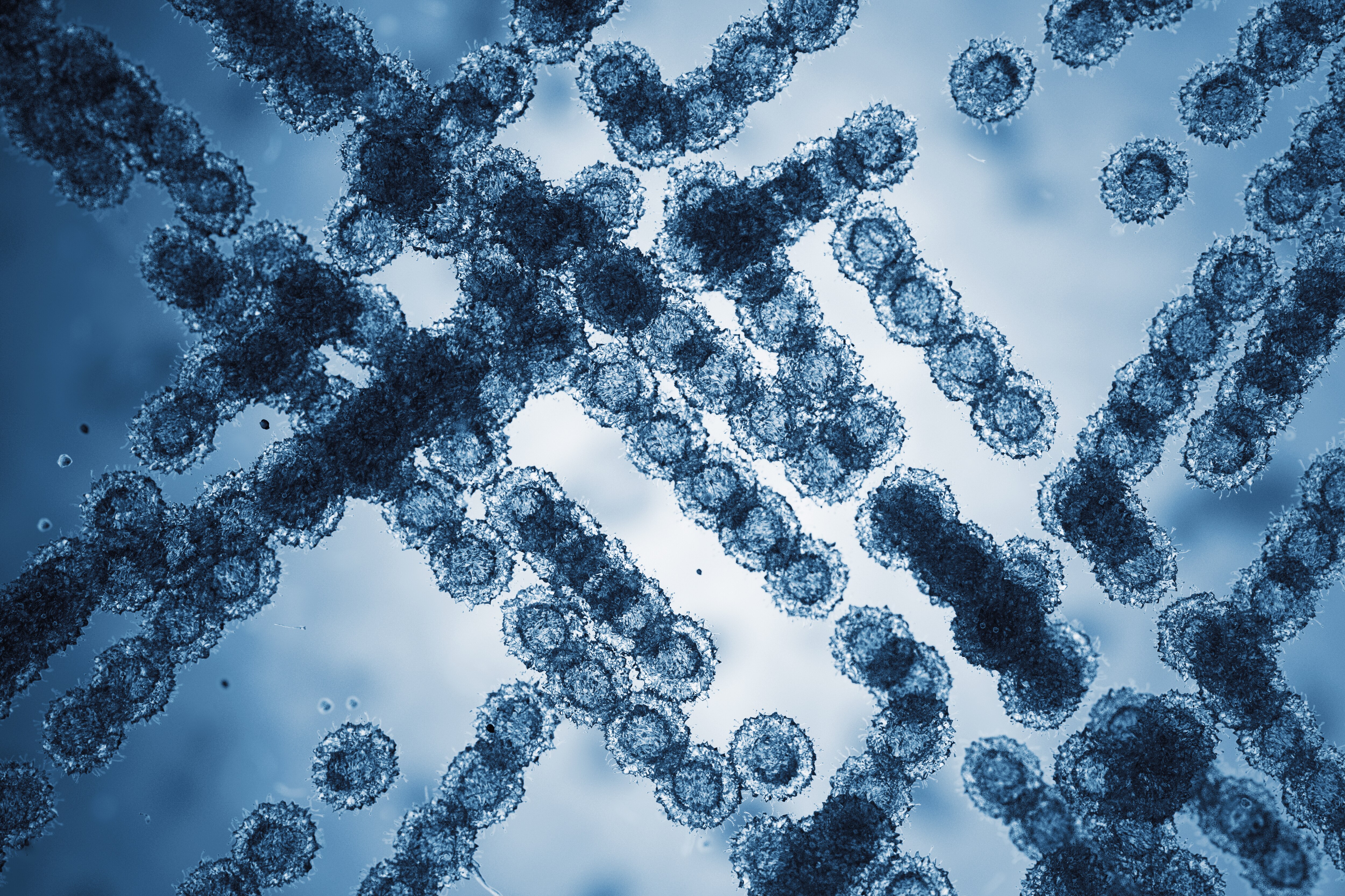 Candida Auris Cells.  3D Render