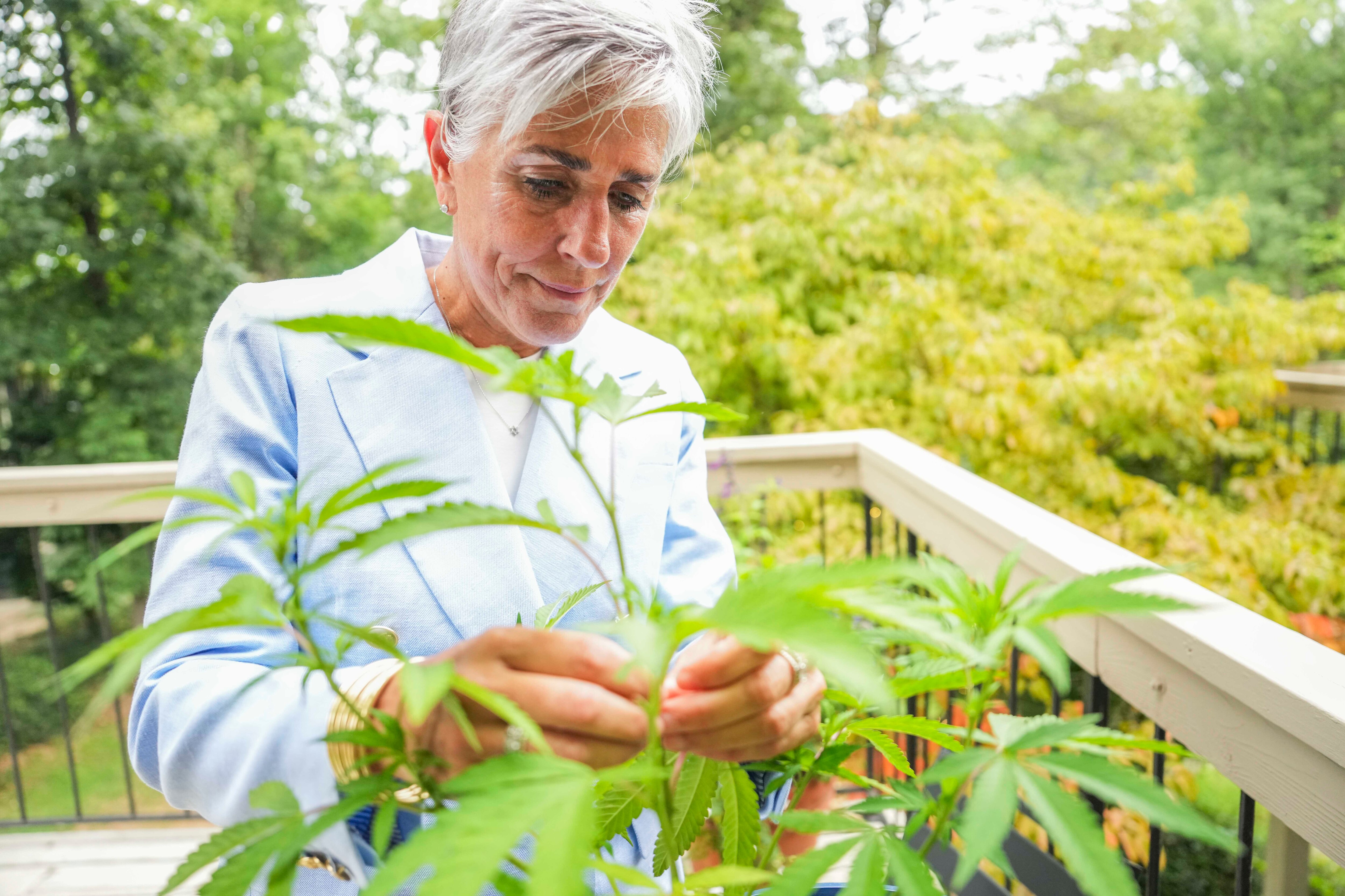 Jacquie Cohen Roth is pictured at her home on August 10, 2023, with her cannabis plant, Louise, that was named after her grandmother. Louise loved the way the plant leaves looked in her flower arrangements.