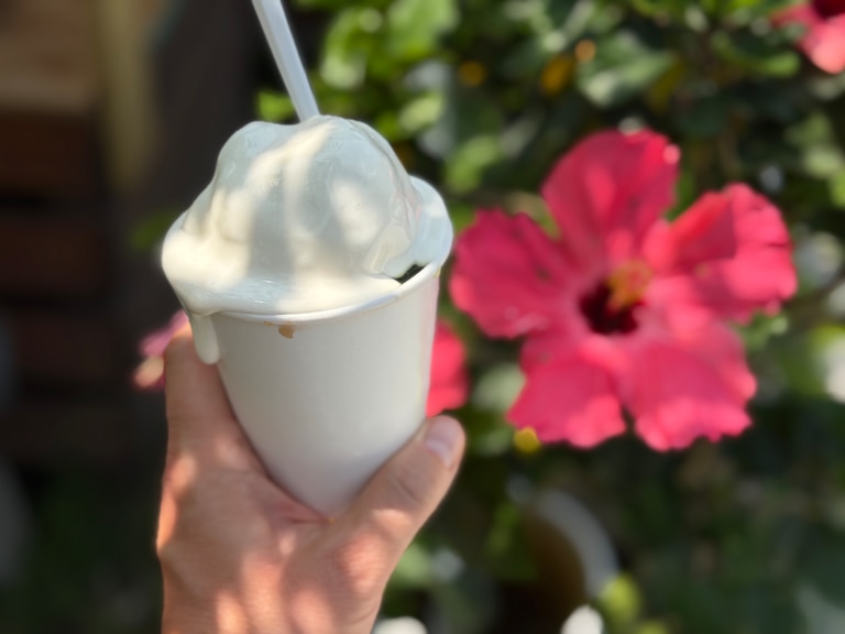 Customers can choose from dozens of snowball flavors at Planter's Paradise.