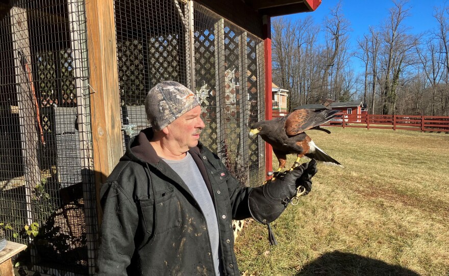 Falconer Dan Vitilio.