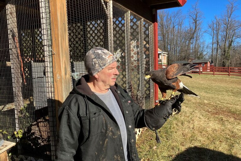 Falconer Dan Vitilio.