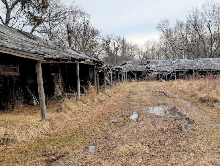 Holly Beach Farm was once a thoroughbred breeding and training center. The paddocks will be torn down.