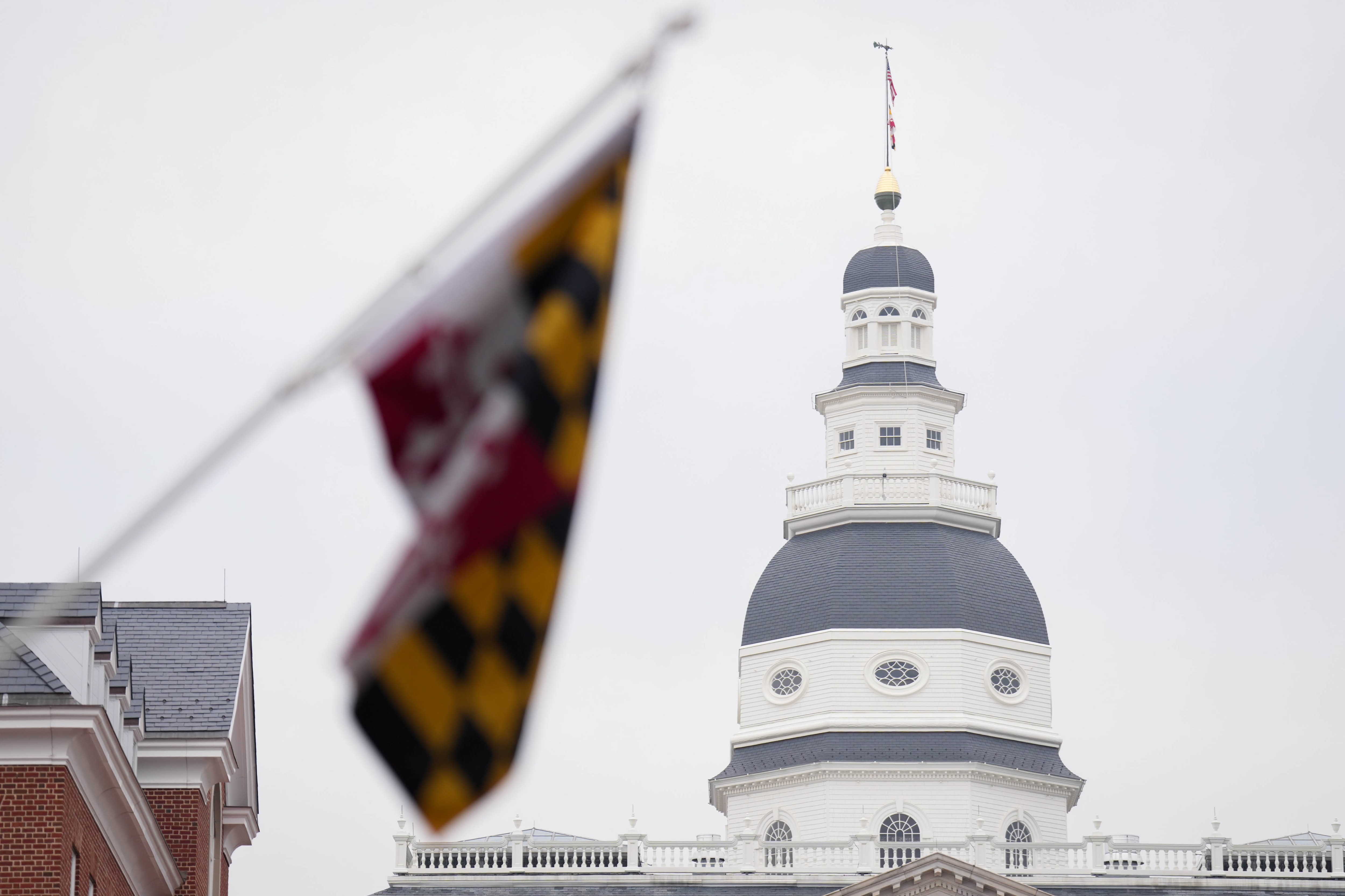 An Anne Arundel Circuit Court judge ruled that Maryland lawmakers missed their own deadline to approve a ballot question on redistricting.