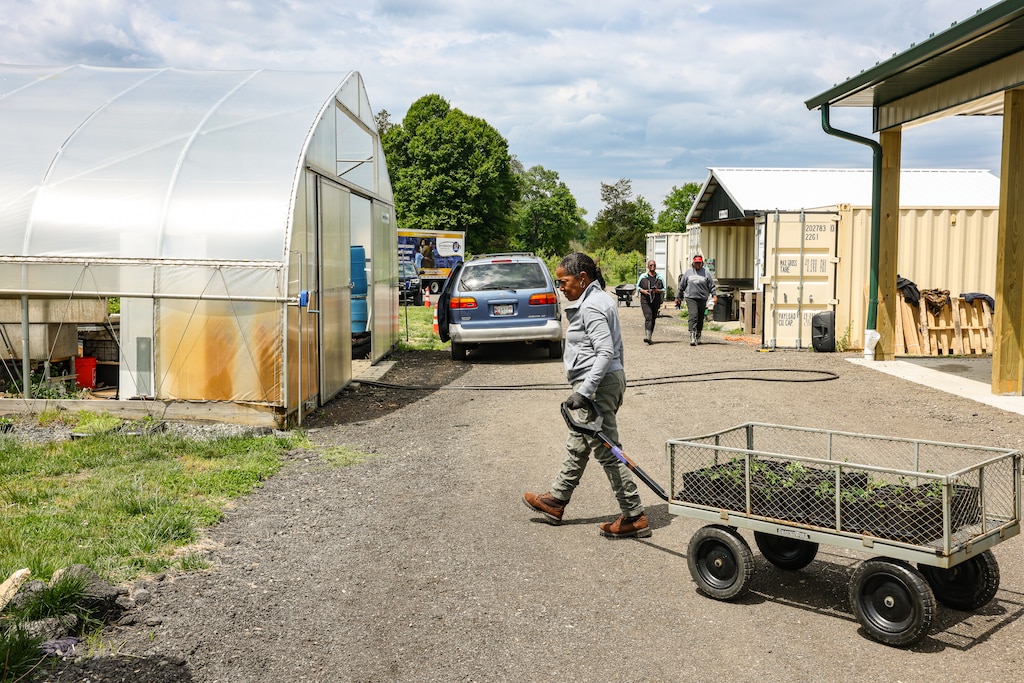 Gigi Parker, a volunteer who works with farmer Isaac Zama, transports seedlings at the Urban Farm Incubator at Watkins Regional Park in Upper Marlboro