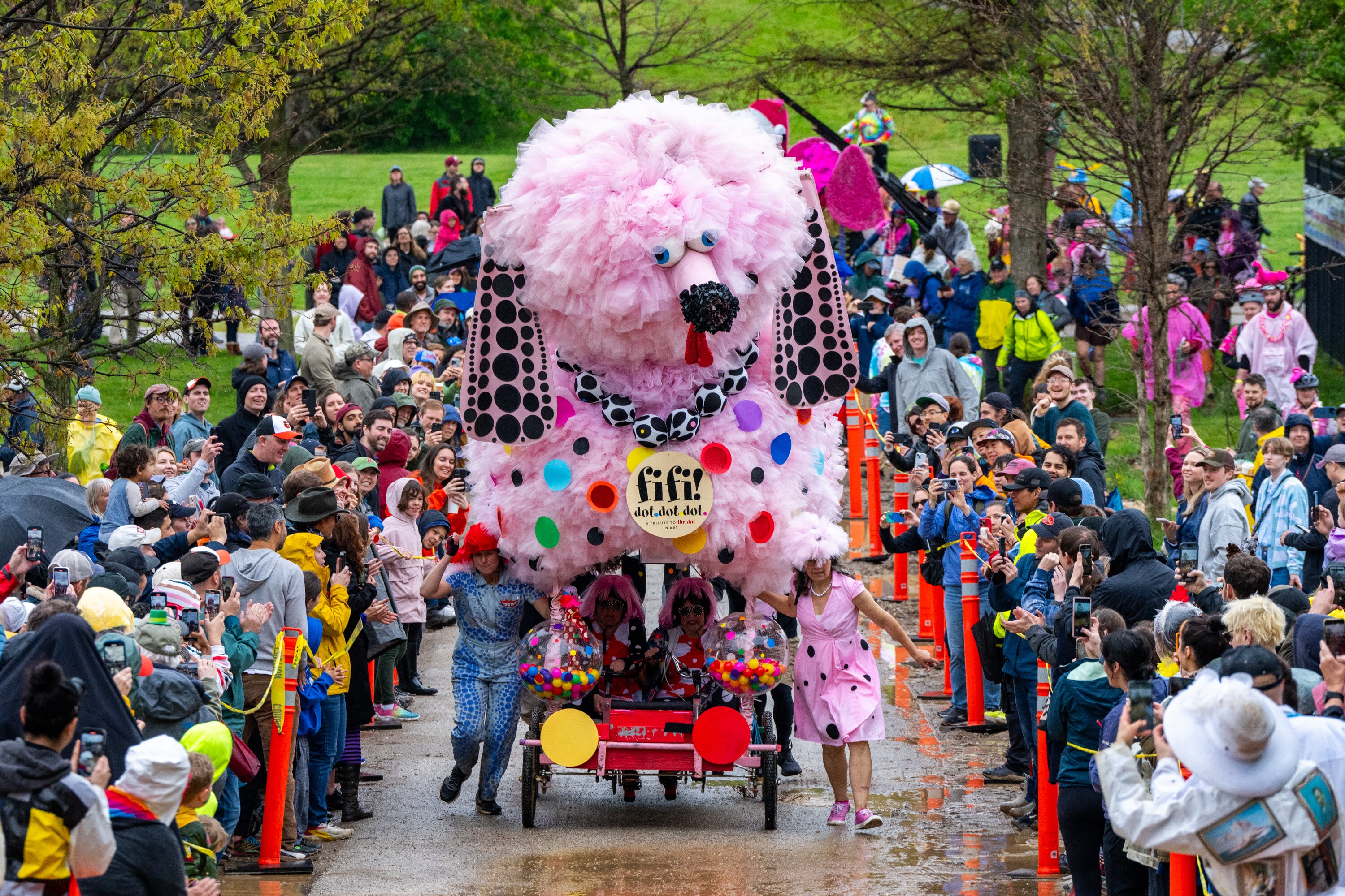 Fifi the poodle approaches the mud obstacle of the Kinetic Sculpture Race at Patterson Park on May 4, 2024.