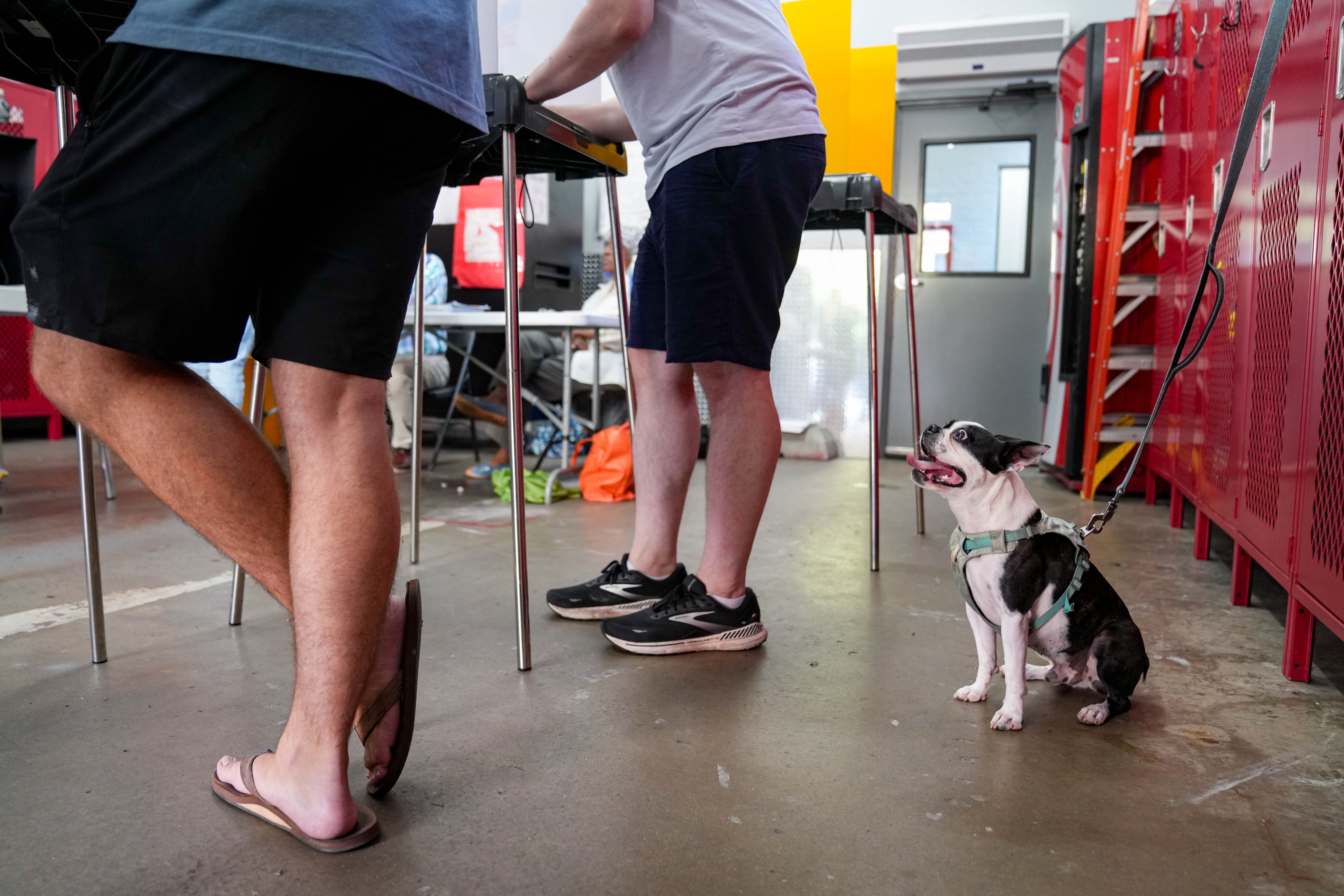Bingo waits as his owner, Bud Lobb, center, votes at Engine House No. 2 on Light Street in Federal Hill in Baltimore on Tuesday.