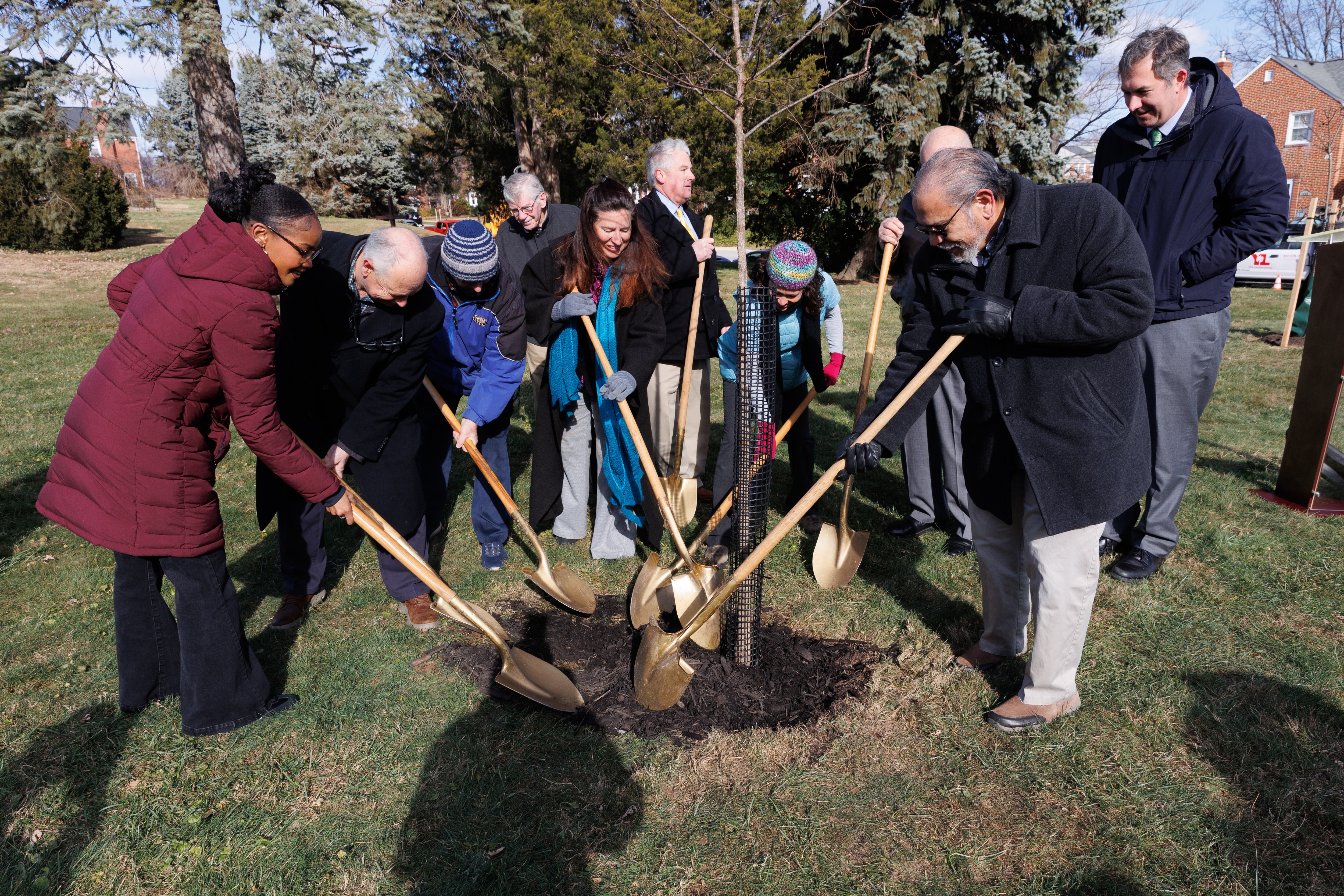 County Executive Johnny Olszewski visited a street tree planting project in Loch Raven Village to share that the County has planted over 7,100 native trees in neighborhoods and commercial districts in the past three years.