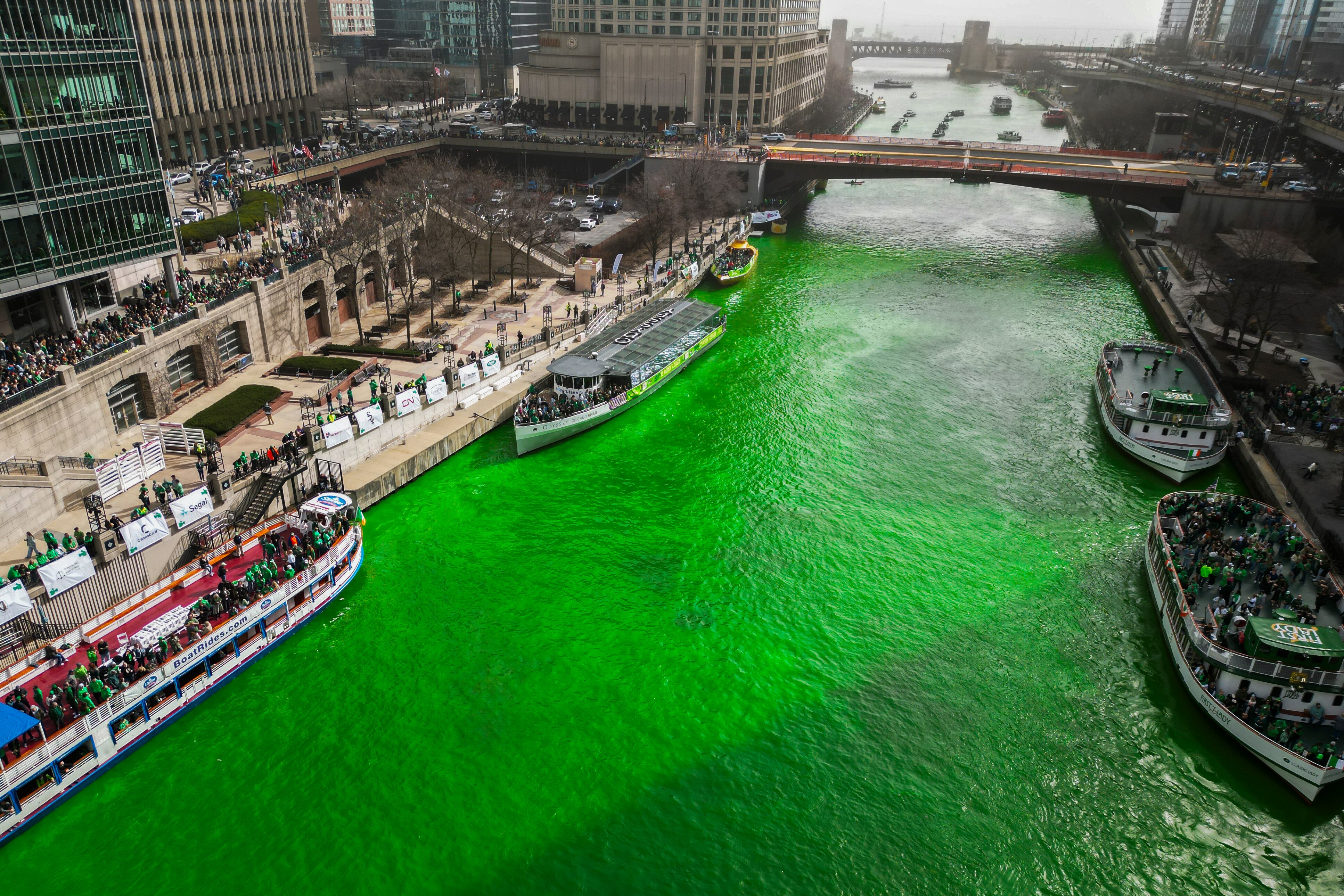The Chicago River is dyed green as part of annual St. Patrick's Day festivities Saturday, March 15, 2025, in Chicago. (AP Photo/Erin Hooley)