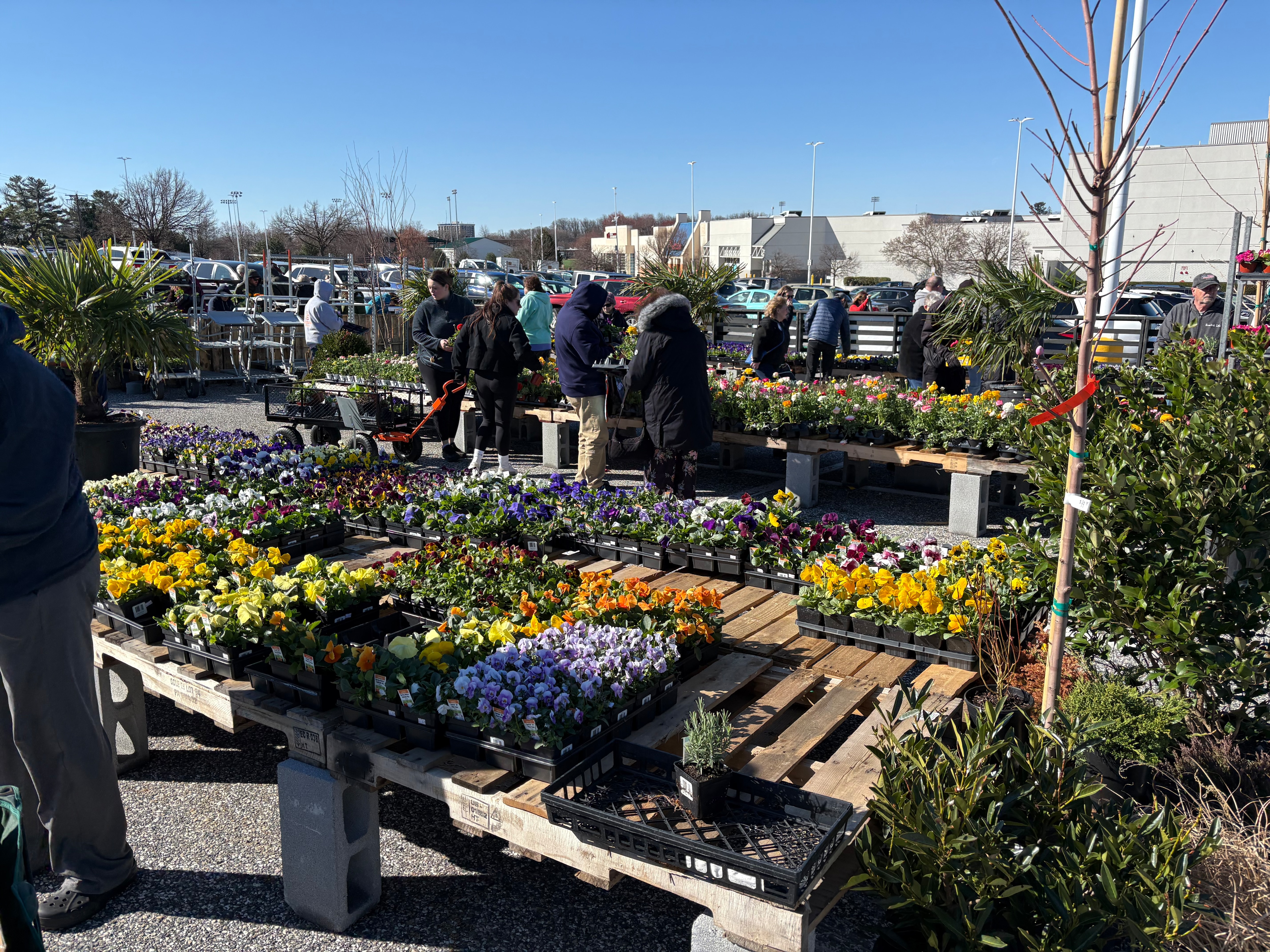 Customers shop at Second Chance Plants on March 21, 2025.
