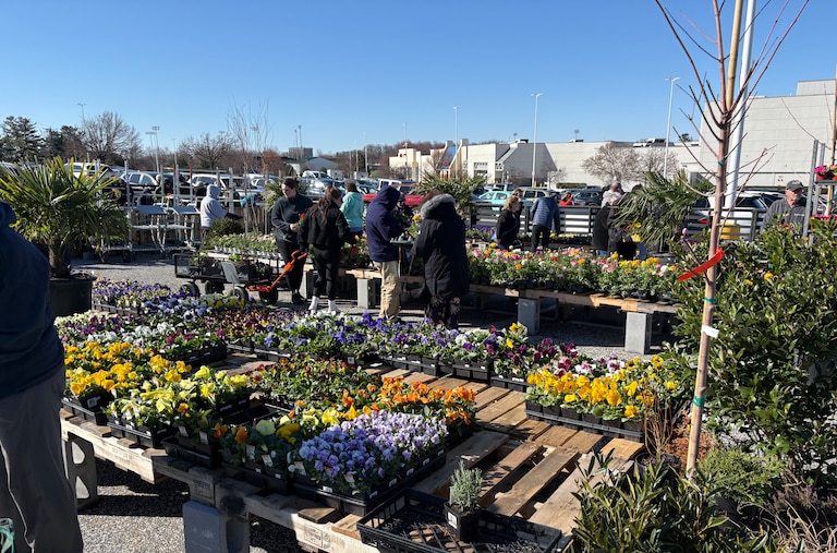 Customers shop at Second Chance Plants on March 21, 2025.