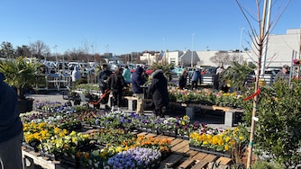 Customers shop at Second Chance Plants on March 21, 2025.