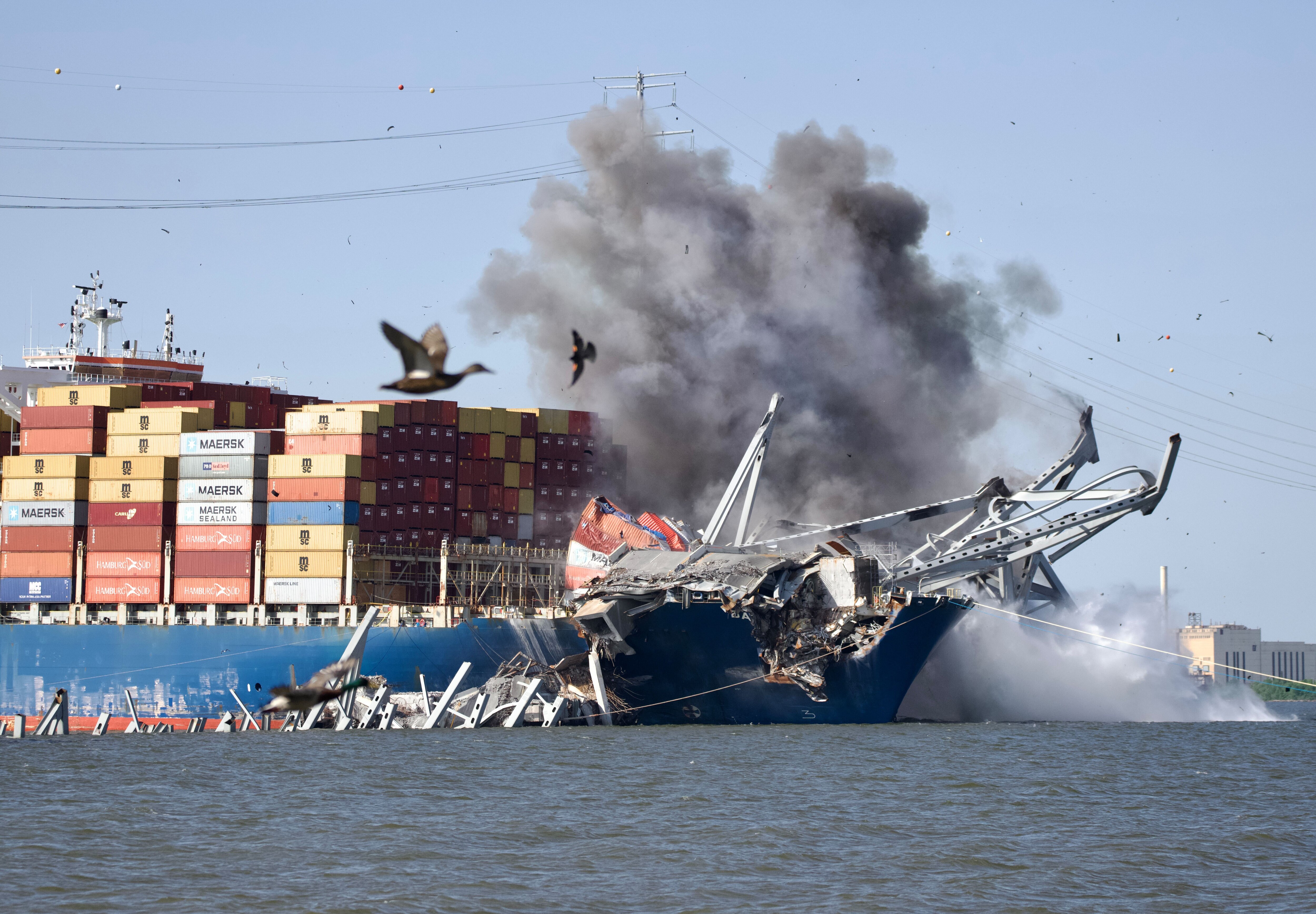 Two birds, one a red-winged blackbird, fly past the explosion of the large of of the collapsed Key Bridge on May 13, 2024.