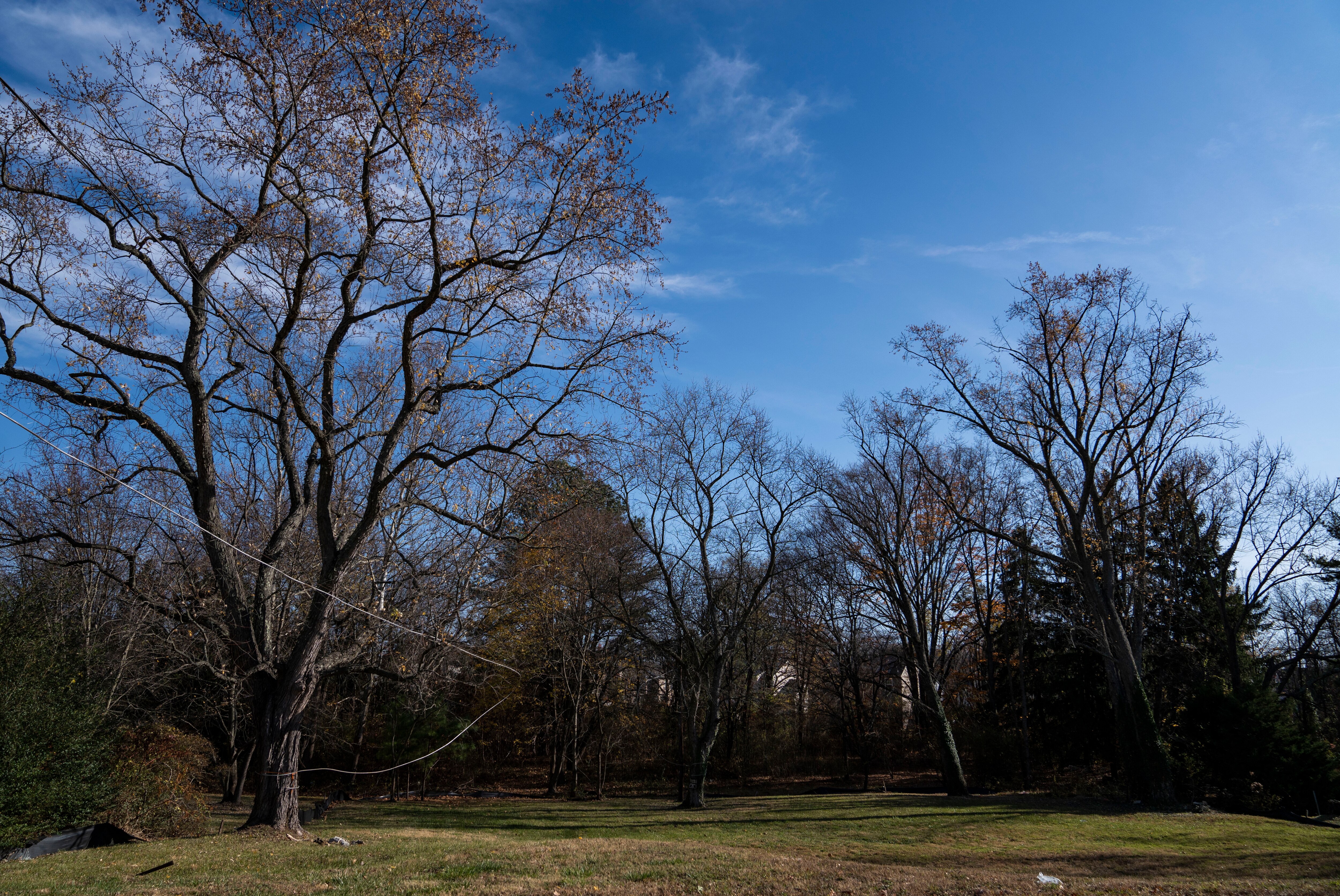 A currently empty lot in Cowenton belonging to Evans Funeral Chapel and Cremation Services.
