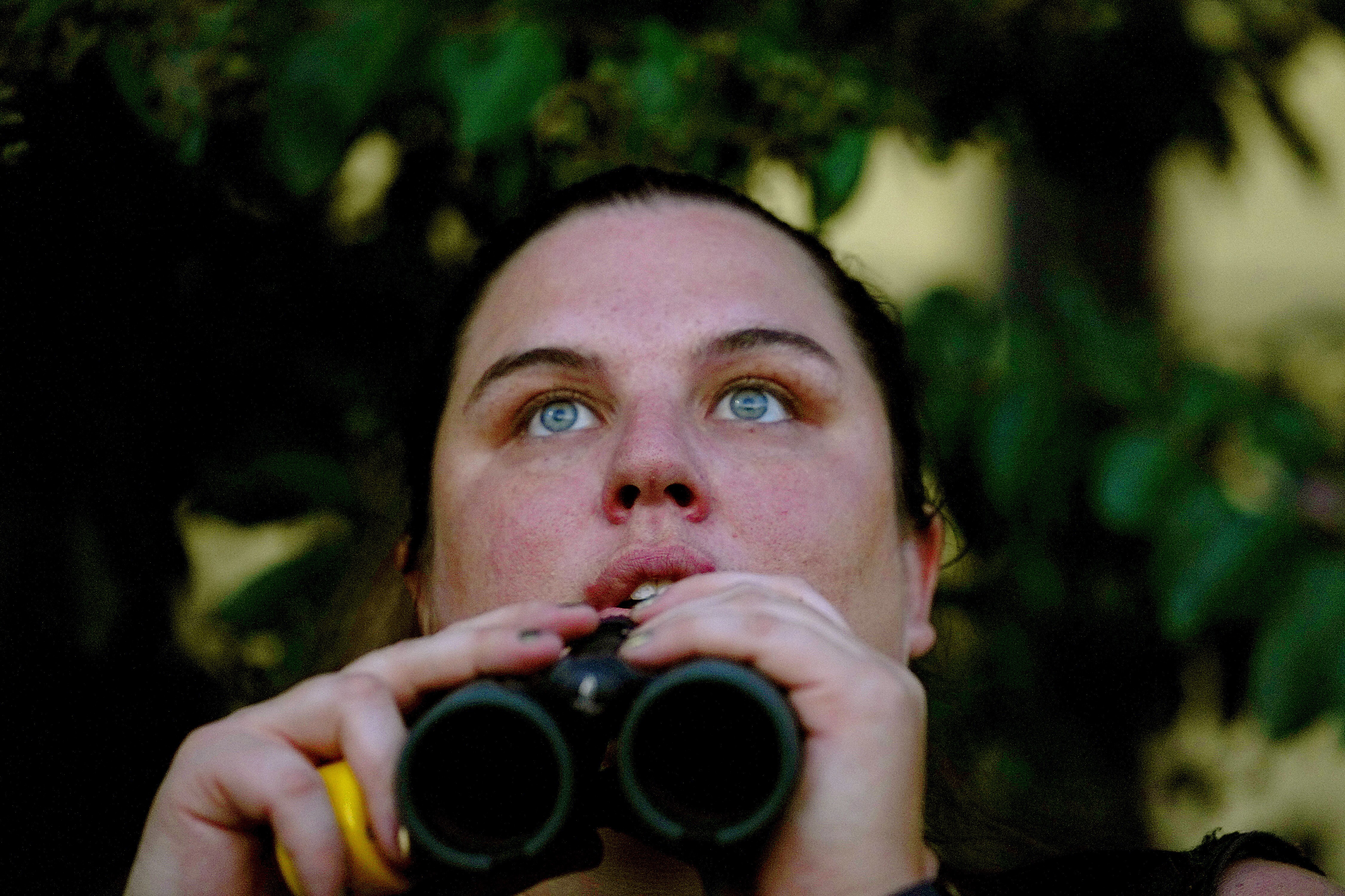 Libby Erickson counts the number of Swifts the came to roost  this evening.  Today’s count was approximately 540.  Each September, thousands of chimney swifts spend the night  in Hampden's old bookbindery as they journey from Canada to South America. This year, could be the last as the building has been purchased and possibly slated for demolition.