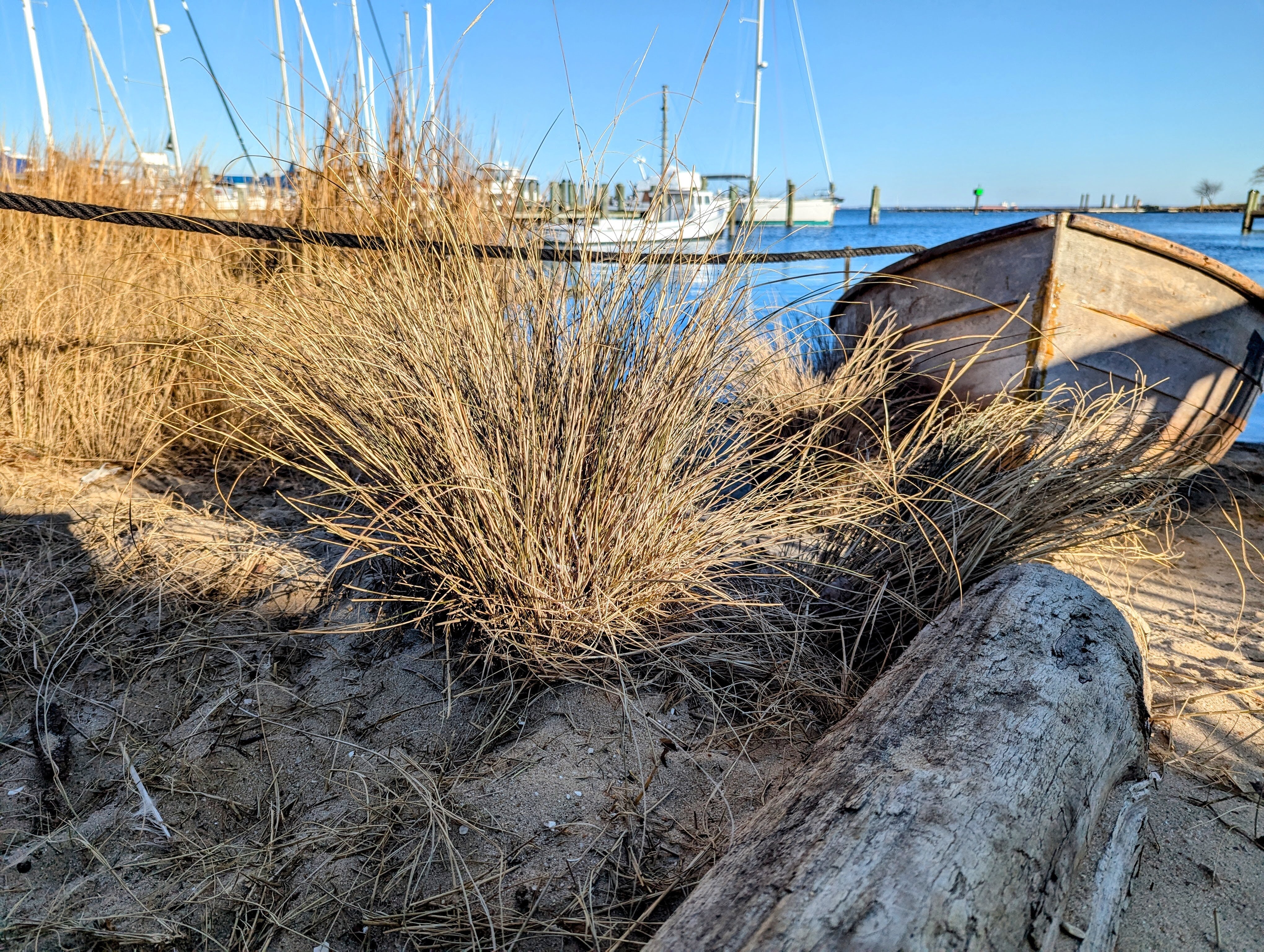 EPA Administrator Lee Zeldin visited Annapolis on Feb. 28, 2025, and took in a tour of the small living shoreline at the Annapolis Maritime Museum.
