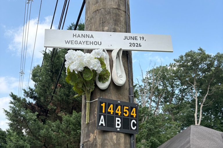 JULY 21, 2026 - Montgomery County Police are asking for the public's help identifying a hit-and-run driver who fled the scene of a fatal crash involving a pedestrian in Silver Spring last month. A makeshit memorial was made at the site where Hanna Wegayehou, 61, who was killed in the crash.