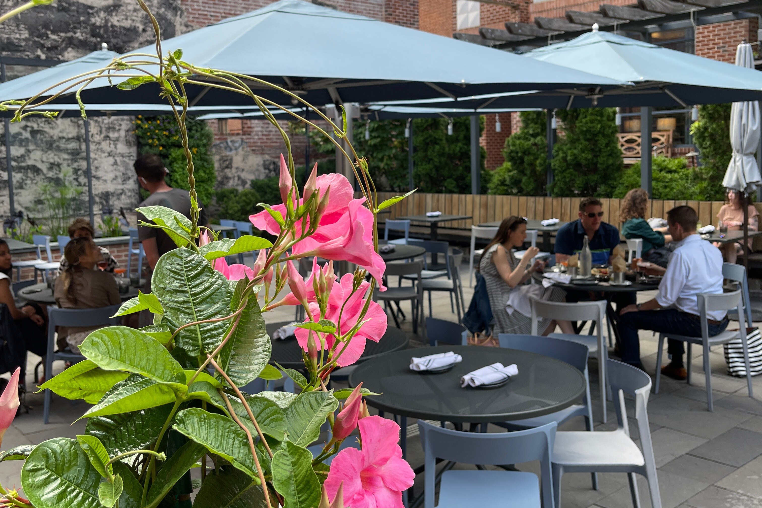 The patio at Gunther & Co.