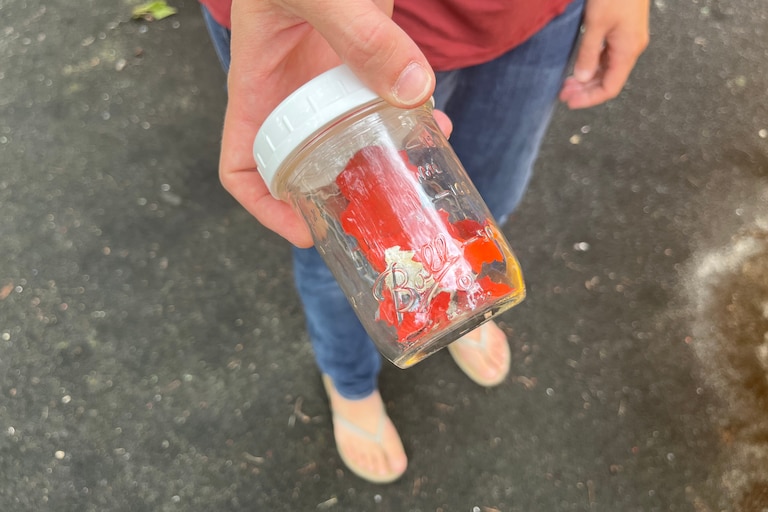 Carol Jarvis holds a jar with piece of red paint. She has been collecting them to test for lead.