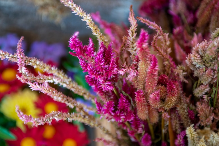 A dried flower arrangement at B. Willow.