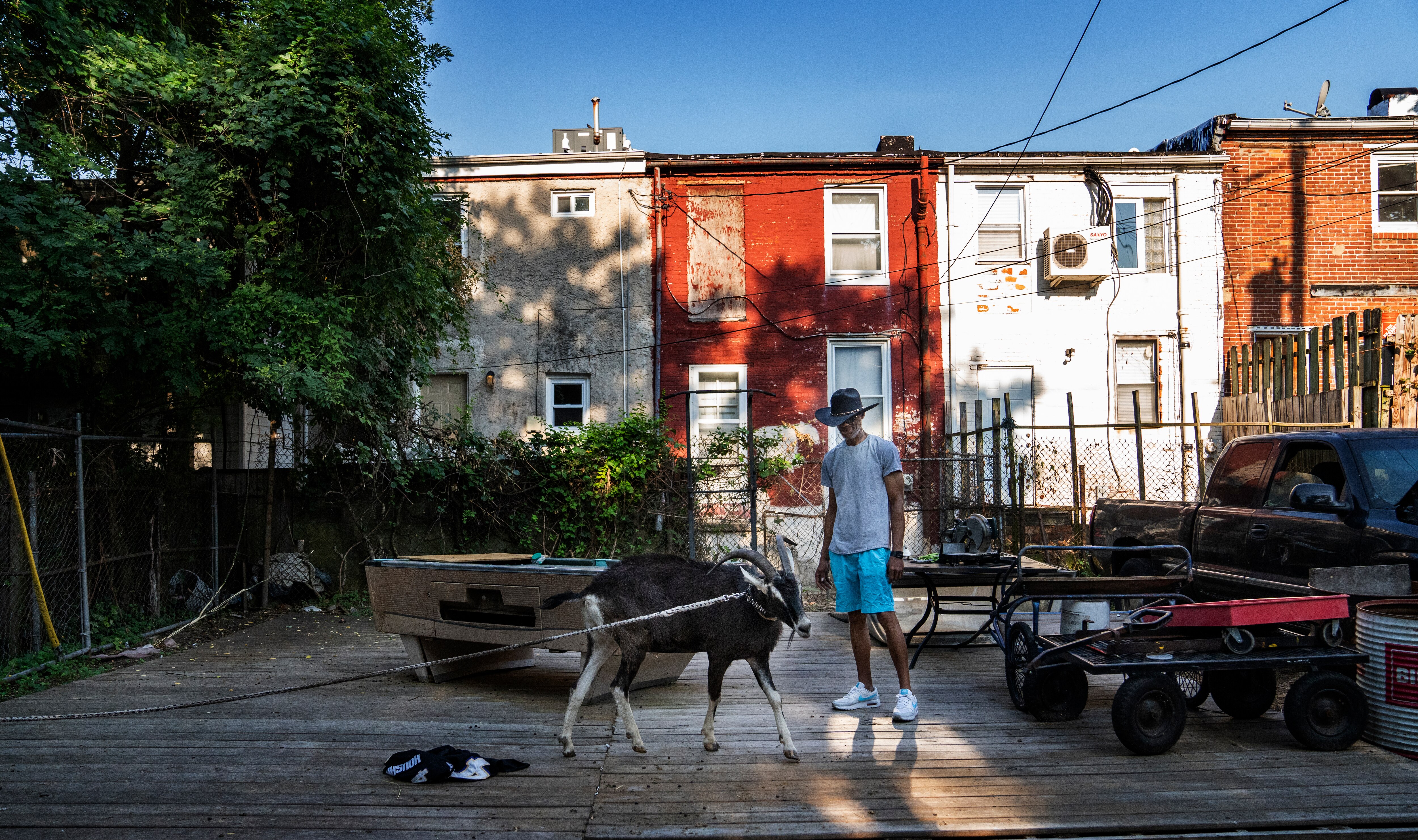Todd “Gready” Cornish gets his goat, Hank, ready for a walk, in Baltimore, June 18, 2024.
