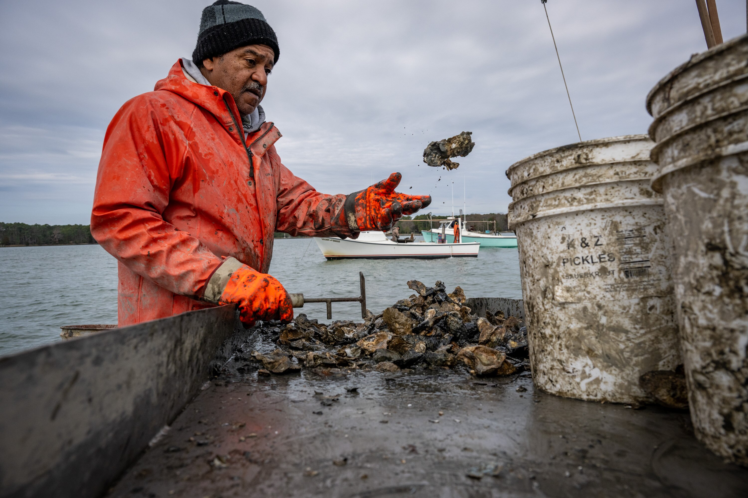 Capt. Tyrone Meredith, a fifth generation waterman, sorts through oysters being pulled from Broad Creek on his last oyster harvest of the season. 