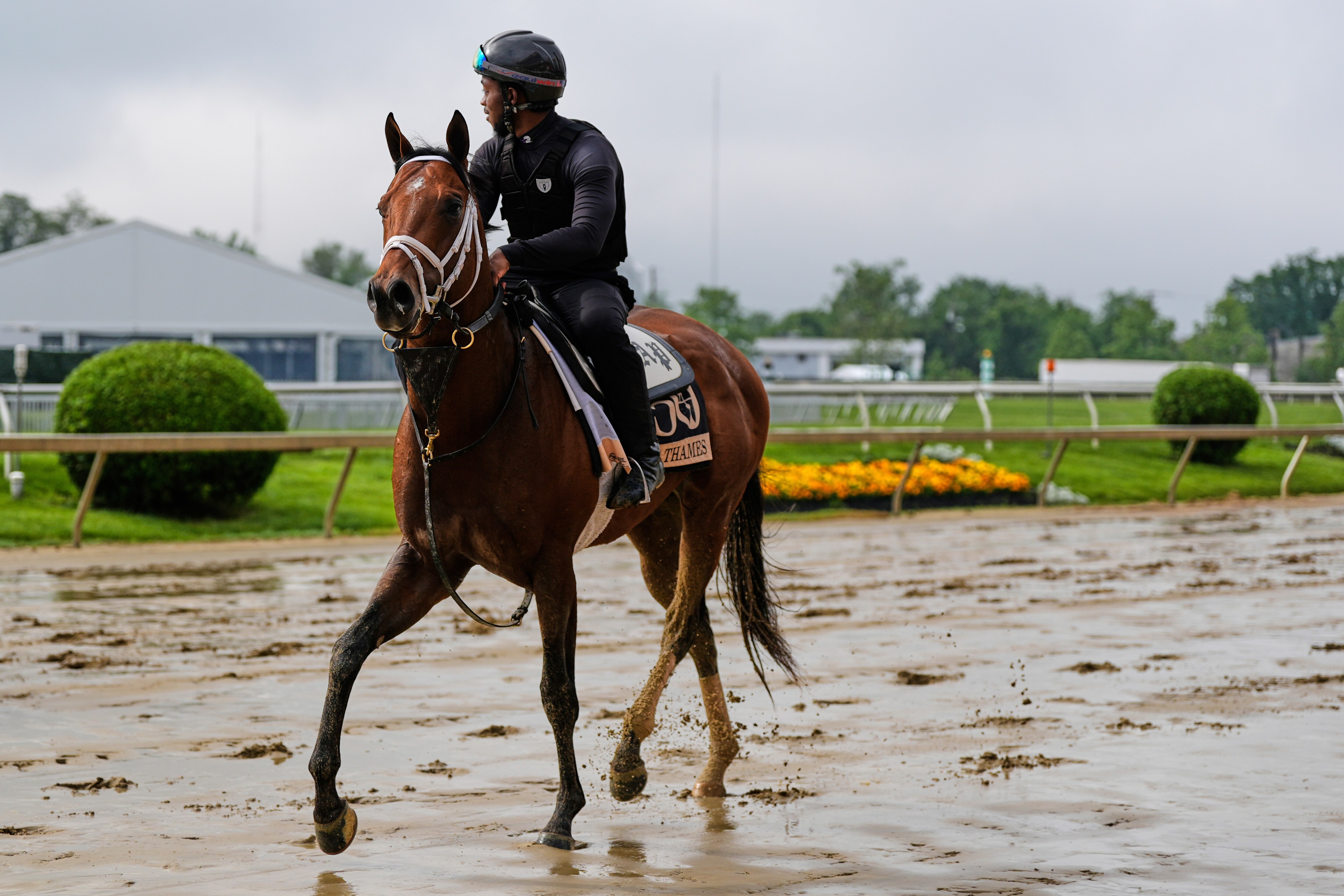 Preakness Stakes entrant River Thames works out at Pimlico Race Course on Thursday.