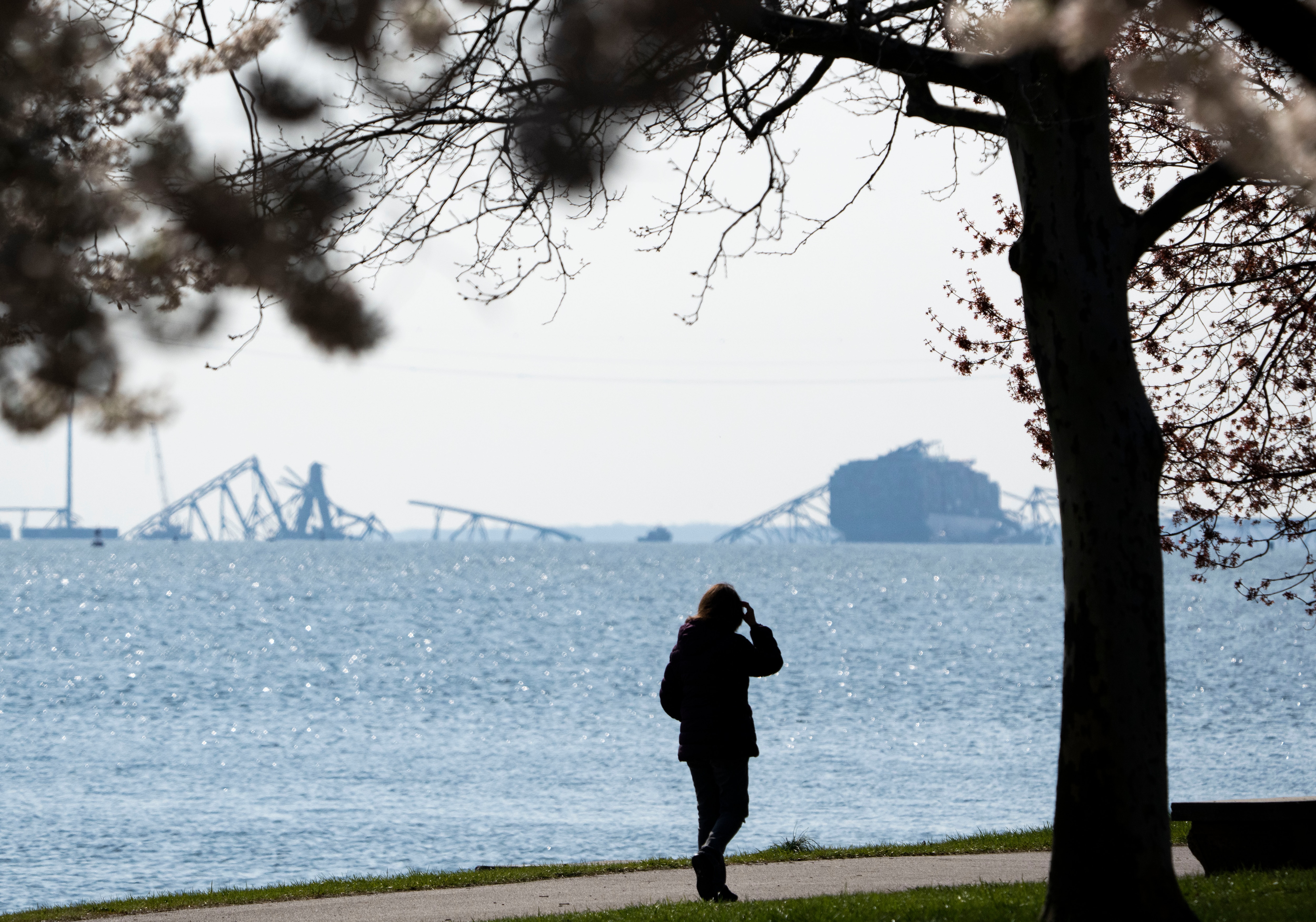 Baltimore’s Francis Scott Key Bridge collapsed after it was struck by a large container ship early March 26.