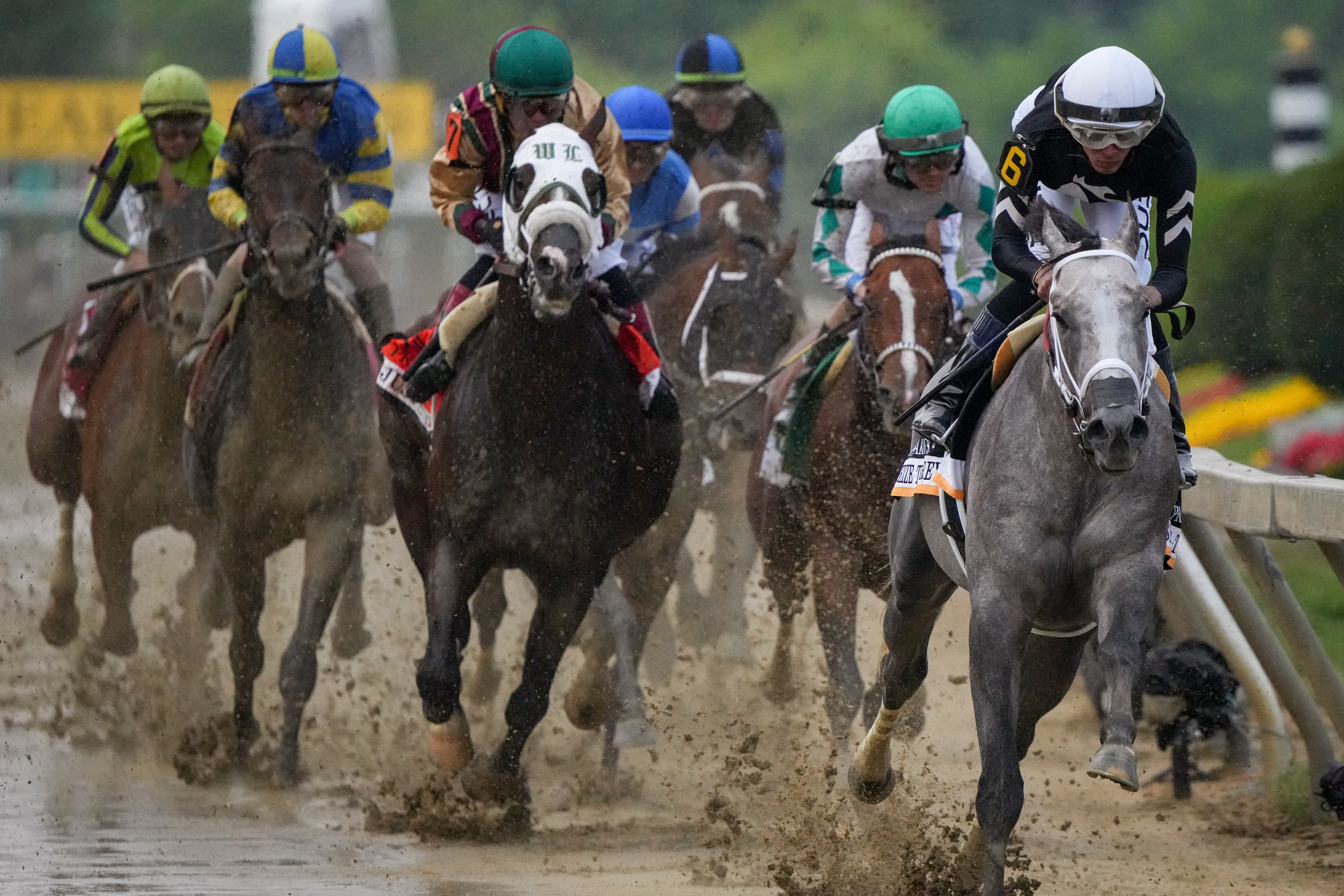 Horses race in the mud during the wet and rainy Preakness Stakes in 2024.