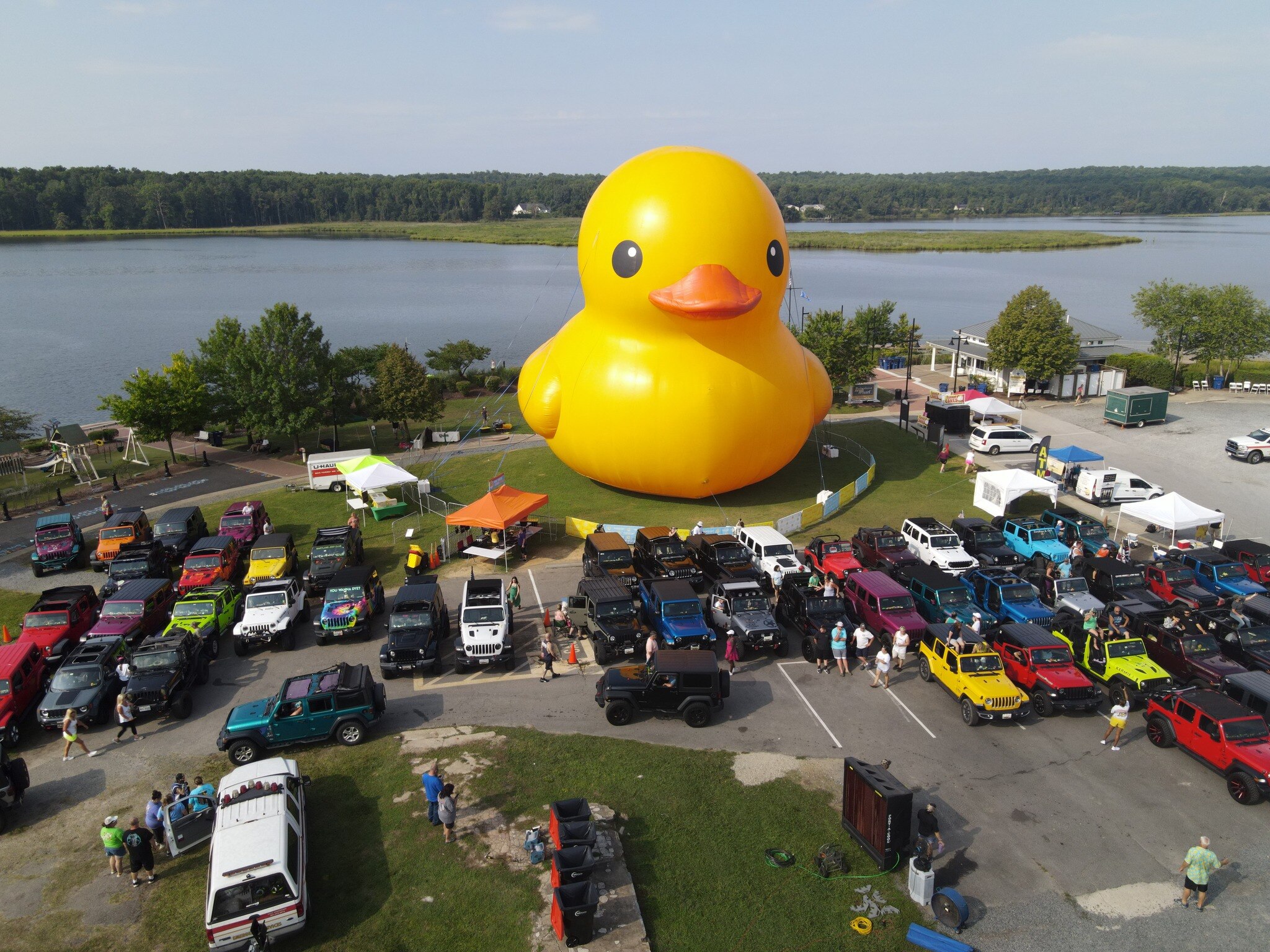 Mama Duck and "Timmy" will be heading to Anne Arundel County in September 2026.
