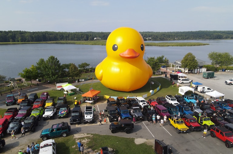 Mama Duck and "Timmy" will be heading to Anne Arundel County in September 2026.