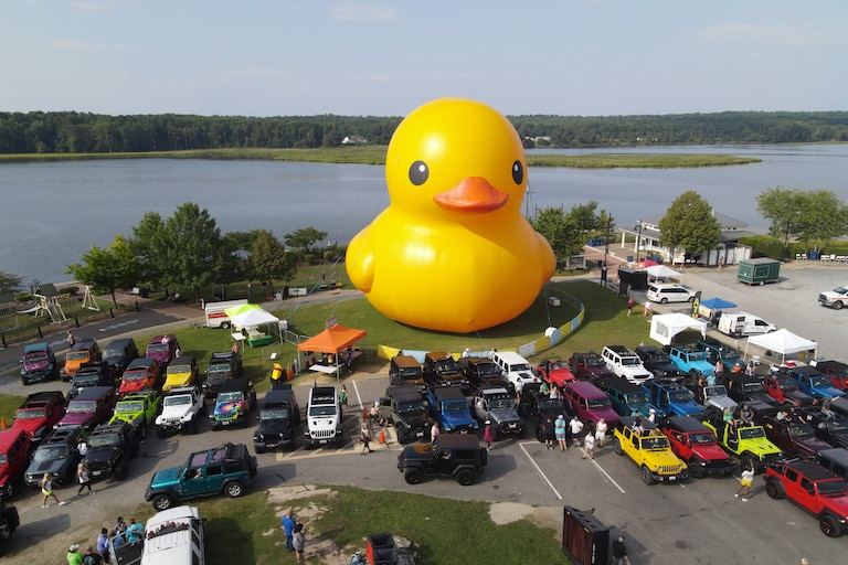 Mama Duck and "Timmy" will be heading to Anne Arundel County in September 2026.