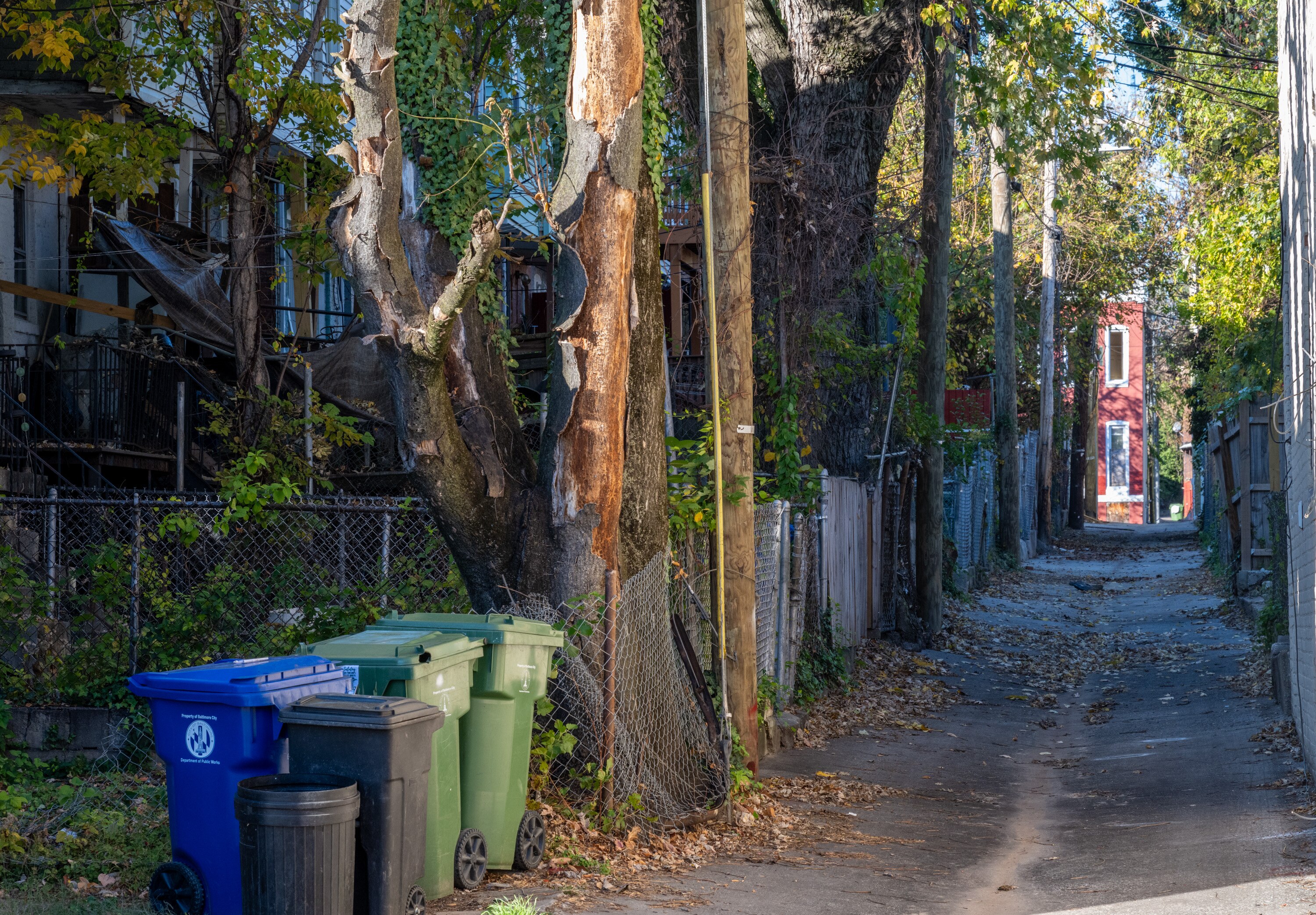 DPW worker Timothy Cartwell was fatally struck by a garbage truck while working in this alley in the 1800 block of Baker Street on Friday.