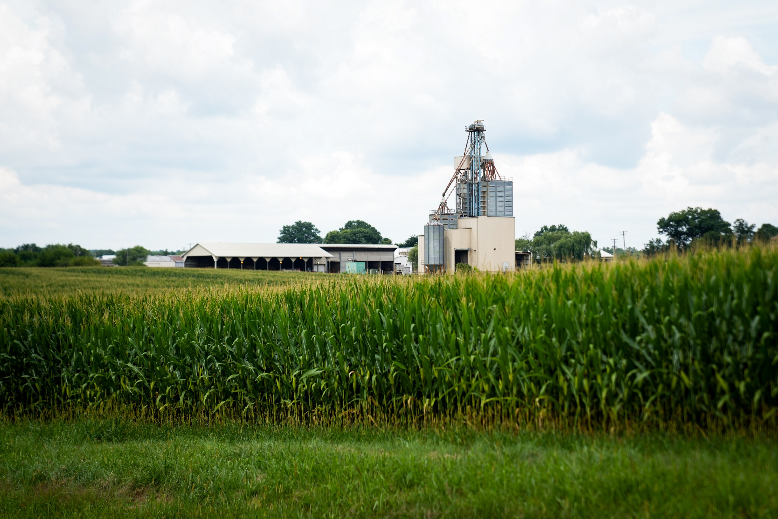 The Beltsville Agricultural Research Center covers thousands of acres of largely farmland in the middle of the Washington DC suburbs