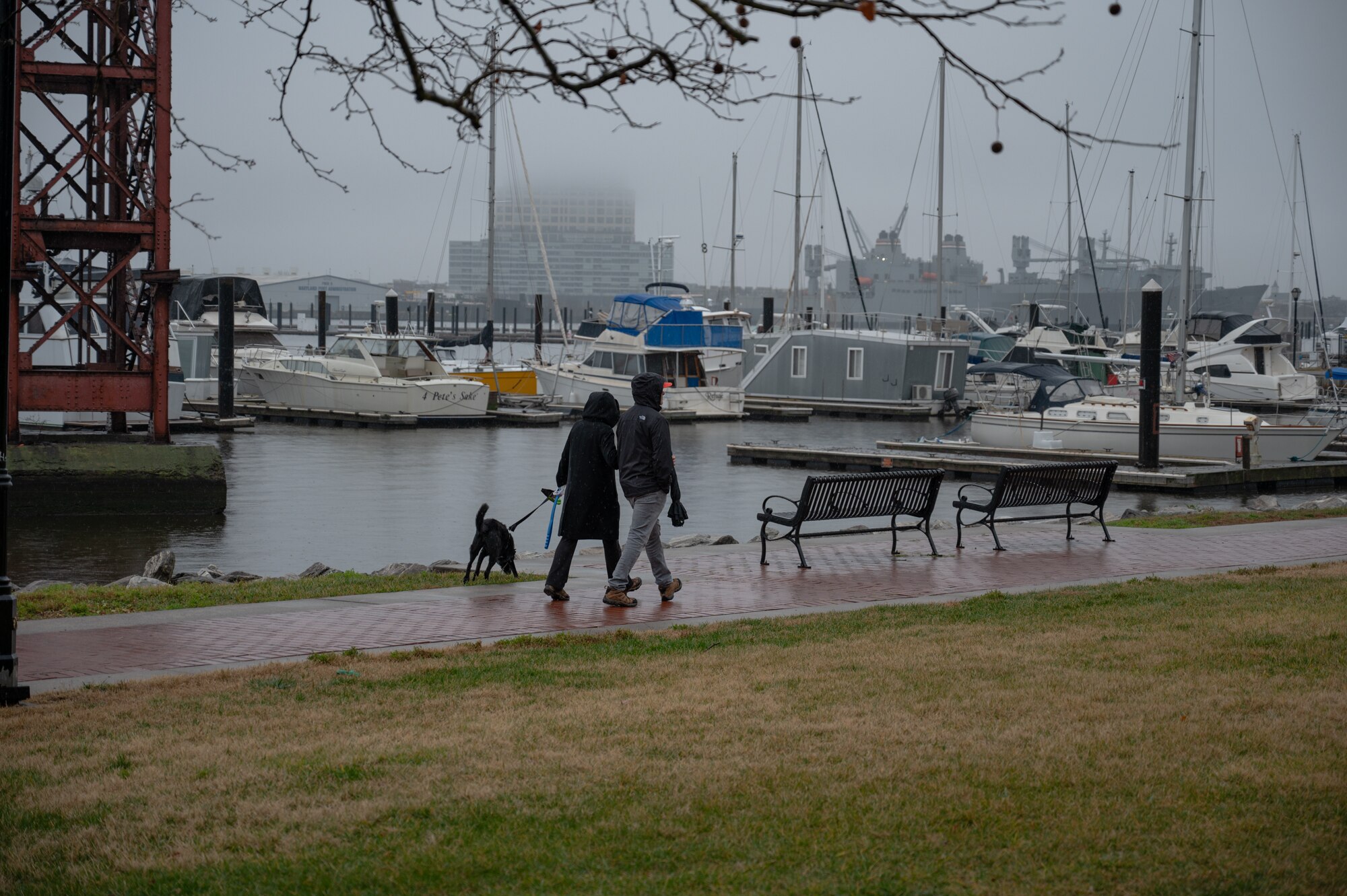 People walk their dog in the rain at Canton Waterfront Park on Dec. 27, 2023.