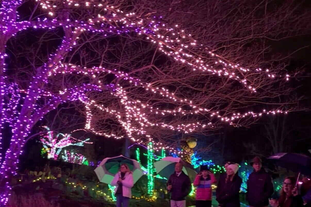 Tour of the light festival at the Montgomery County Family Justice Center at Brookside Garden on Tuesday, November 18, 2025.