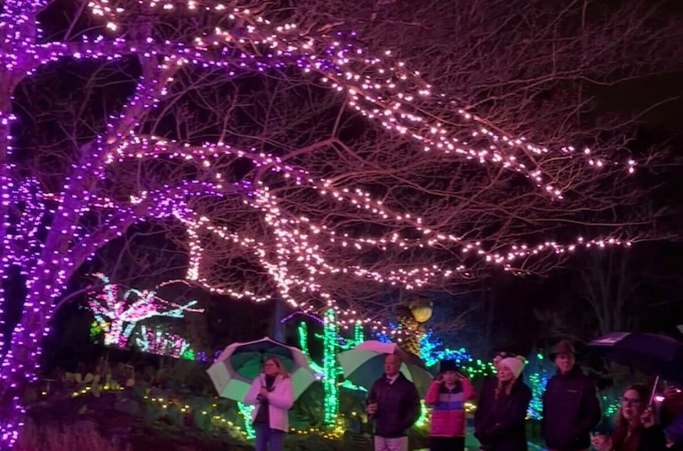 Tour of the light festival at the Montgomery County Family Justice Center at Brookside Garden on Tuesday, November 18, 2025.