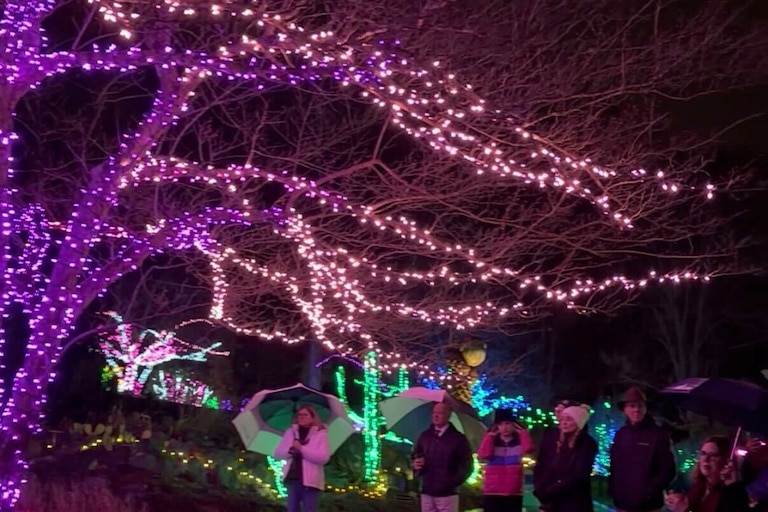 Tour of the light festival at the Montgomery County Family Justice Center at Brookside Garden on Tuesday, November 18, 2025.