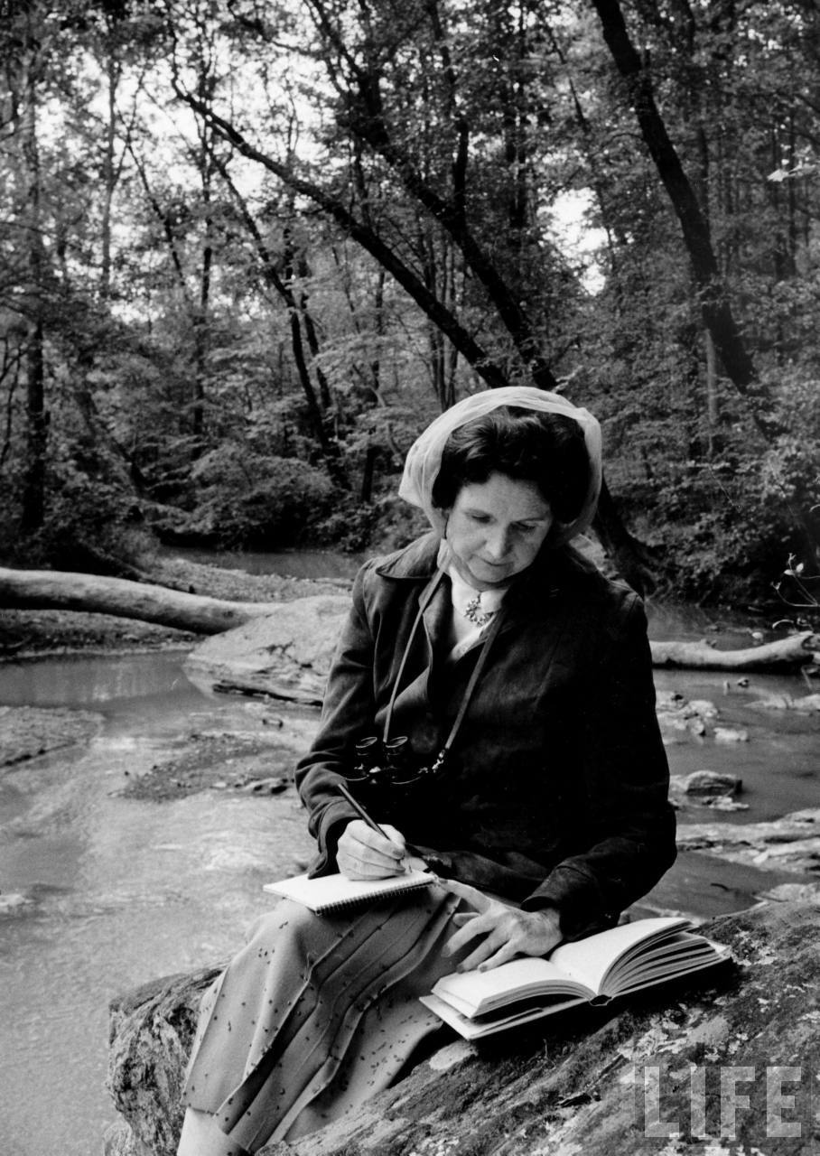 Rachel Carson, a longtime Silver Spring resident, is pictured sitting in the Northwest Branch of the Anacostia, near the future site of the Springsong Museum.