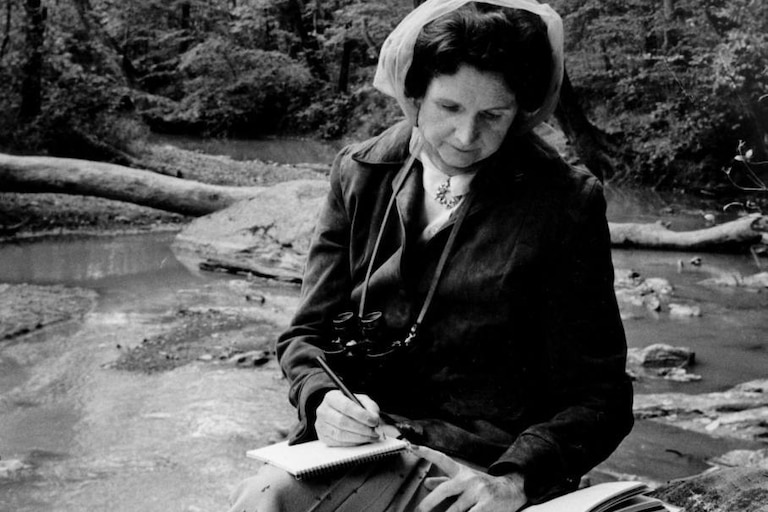 Rachel Carson, a longtime Silver Spring resident, is pictured sitting in the Northwest Branch of the Anacostia, near the future site of the Springsong Museum.